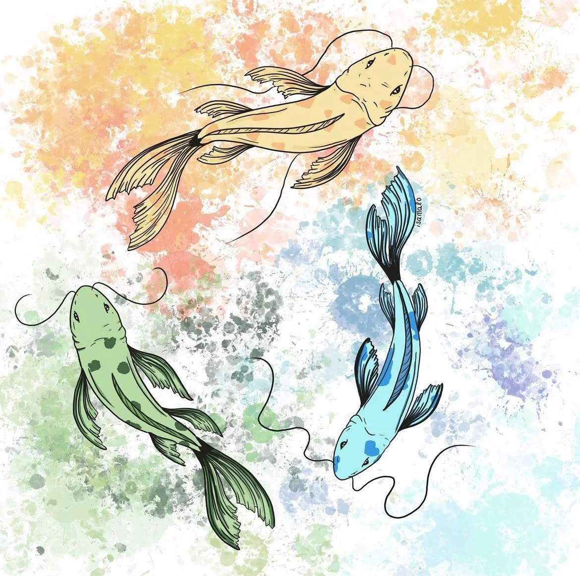 Koi Fish