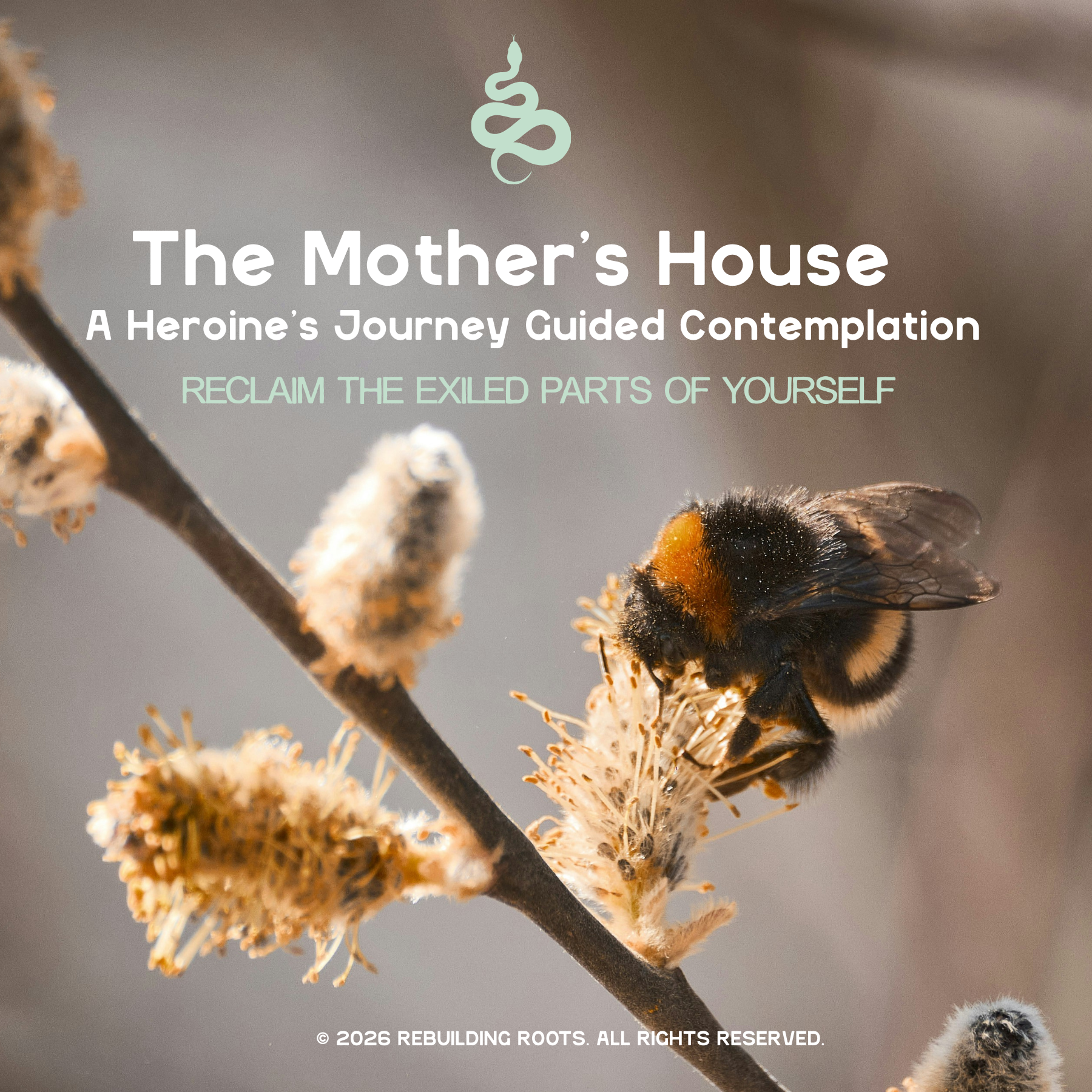 The Mother’s House: A Heroine's Journey Guided Contemplation