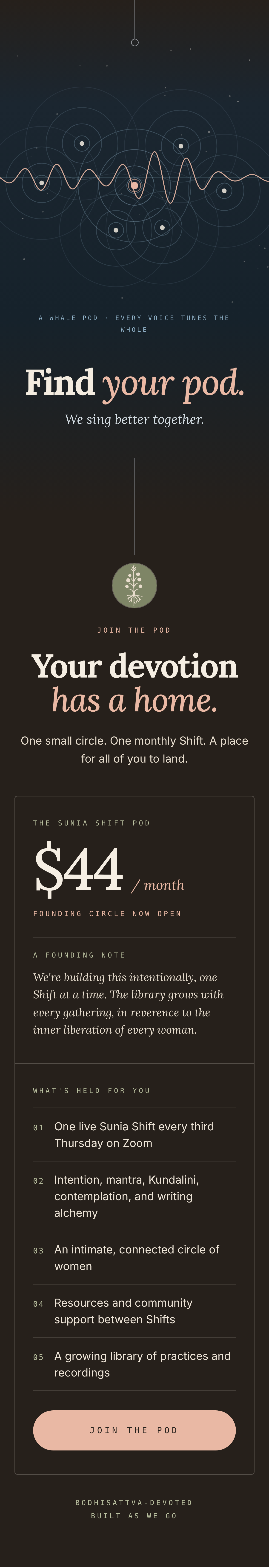 Whale pod illustration. Find your pod. The Sunia Shift Pod with Bailee Buckendorf, $44 a month, with one live Zoom gathering every third Thursday. Join the Pod.