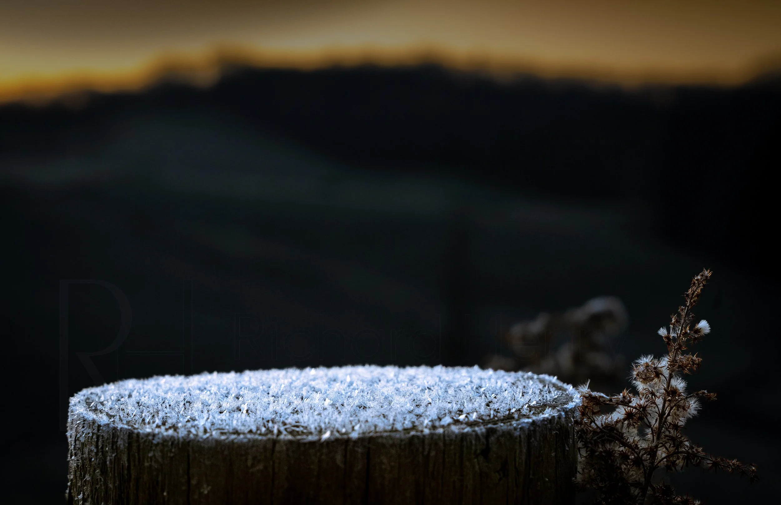 Snowdust.jpg