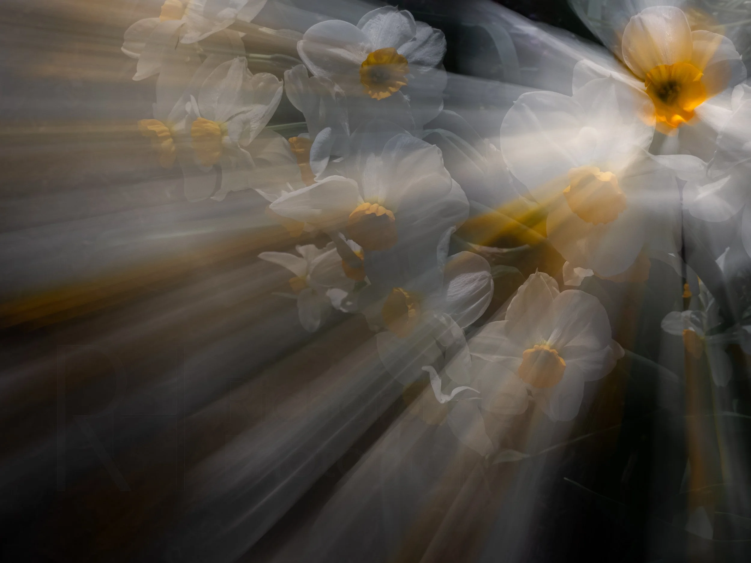 Shine