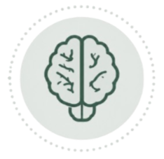 A simple line drawing of a human brain