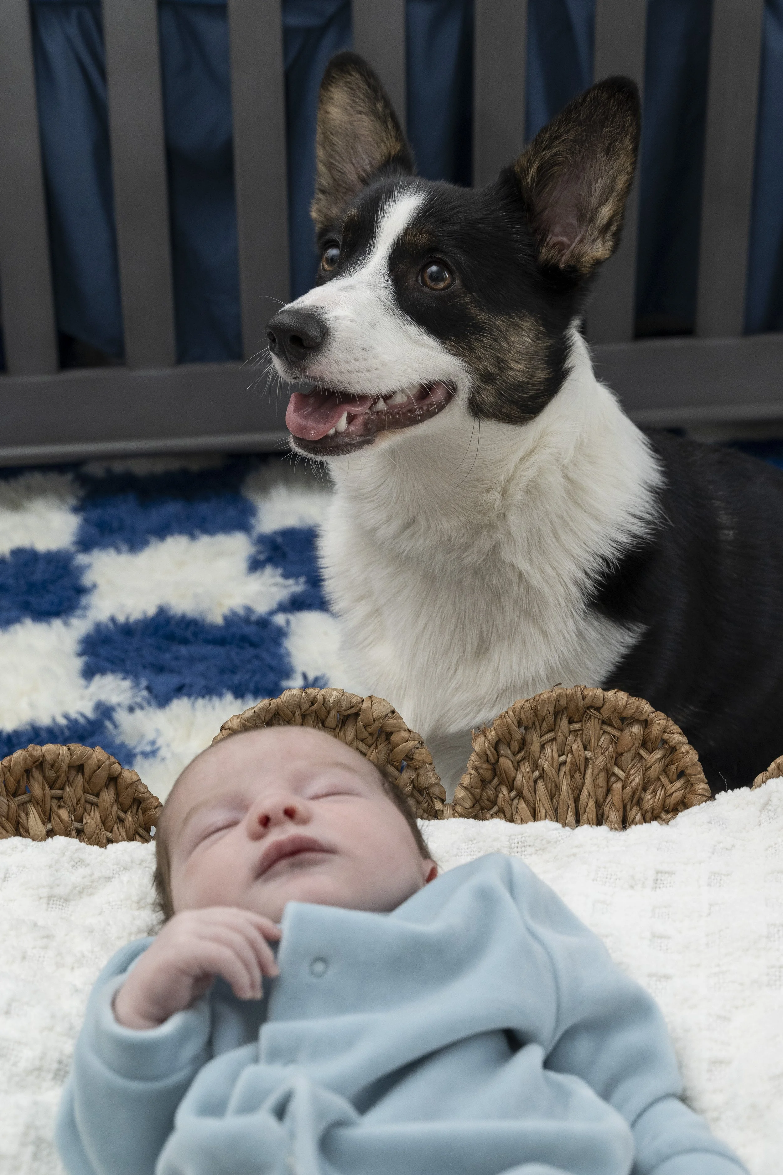Newbornsession_Murray_59.JPG