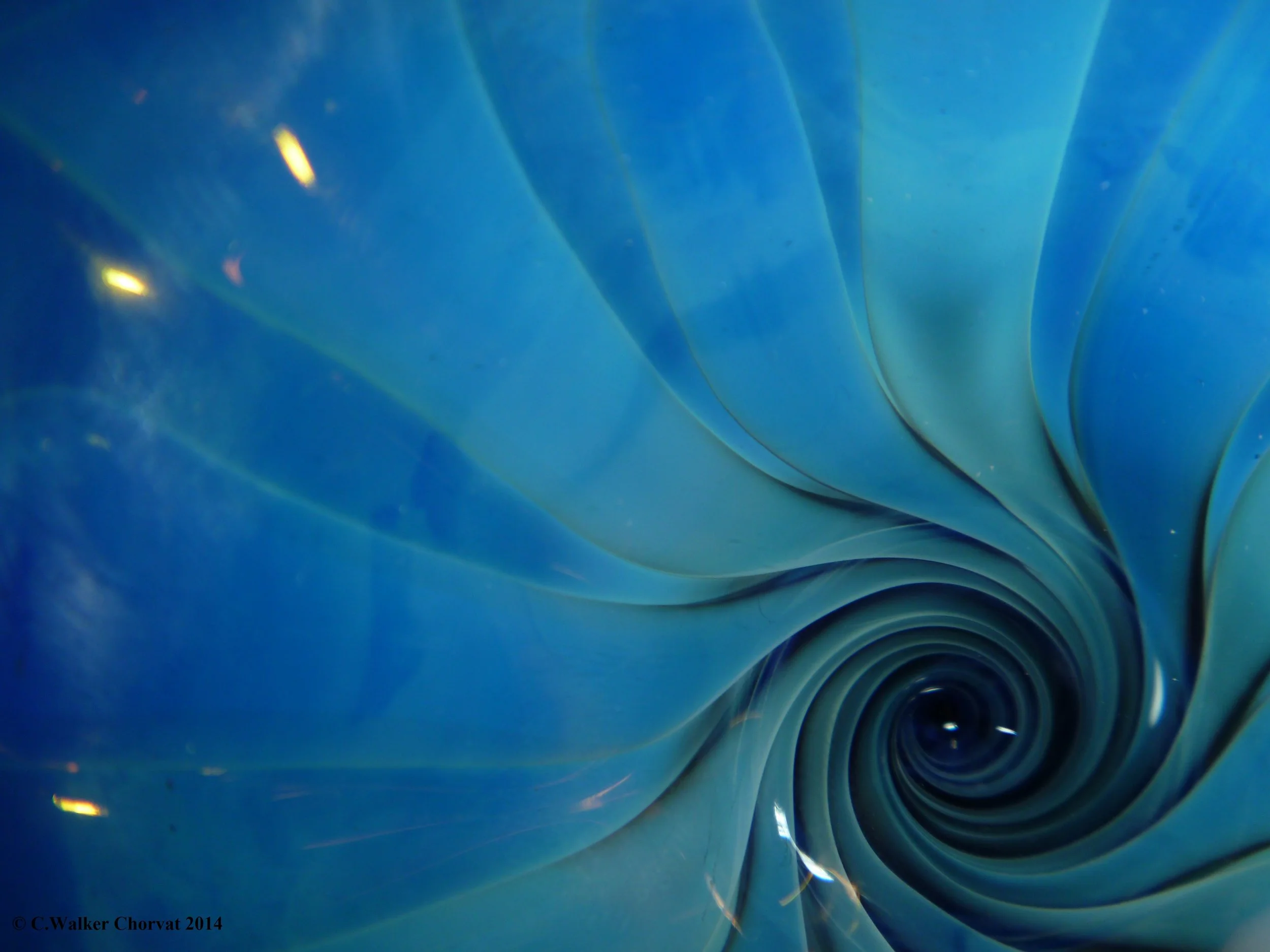 © C. Walker Chorvat 2014.jpg