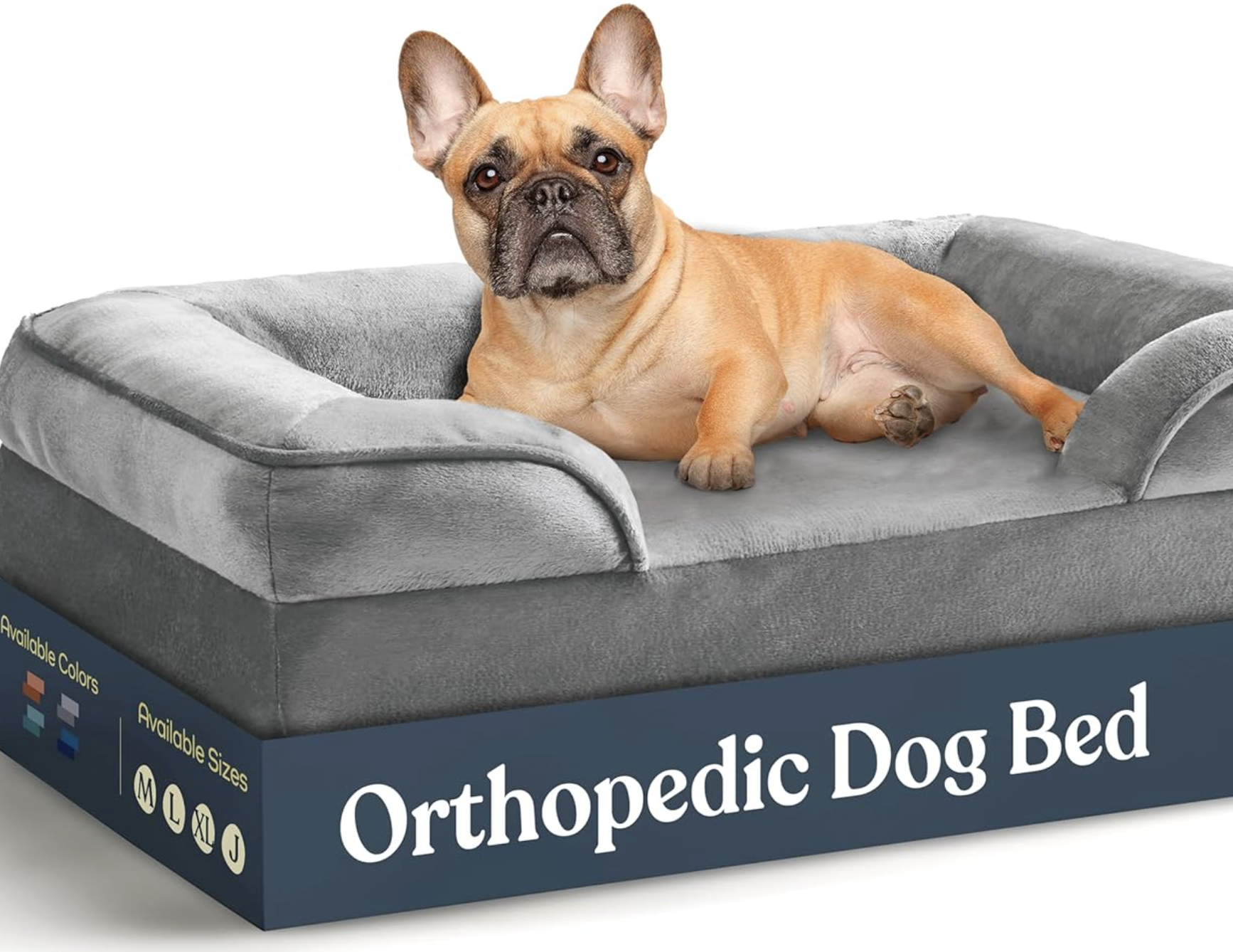 Top 5 Must-Have Products for Happy and Healthy Pets in 2025