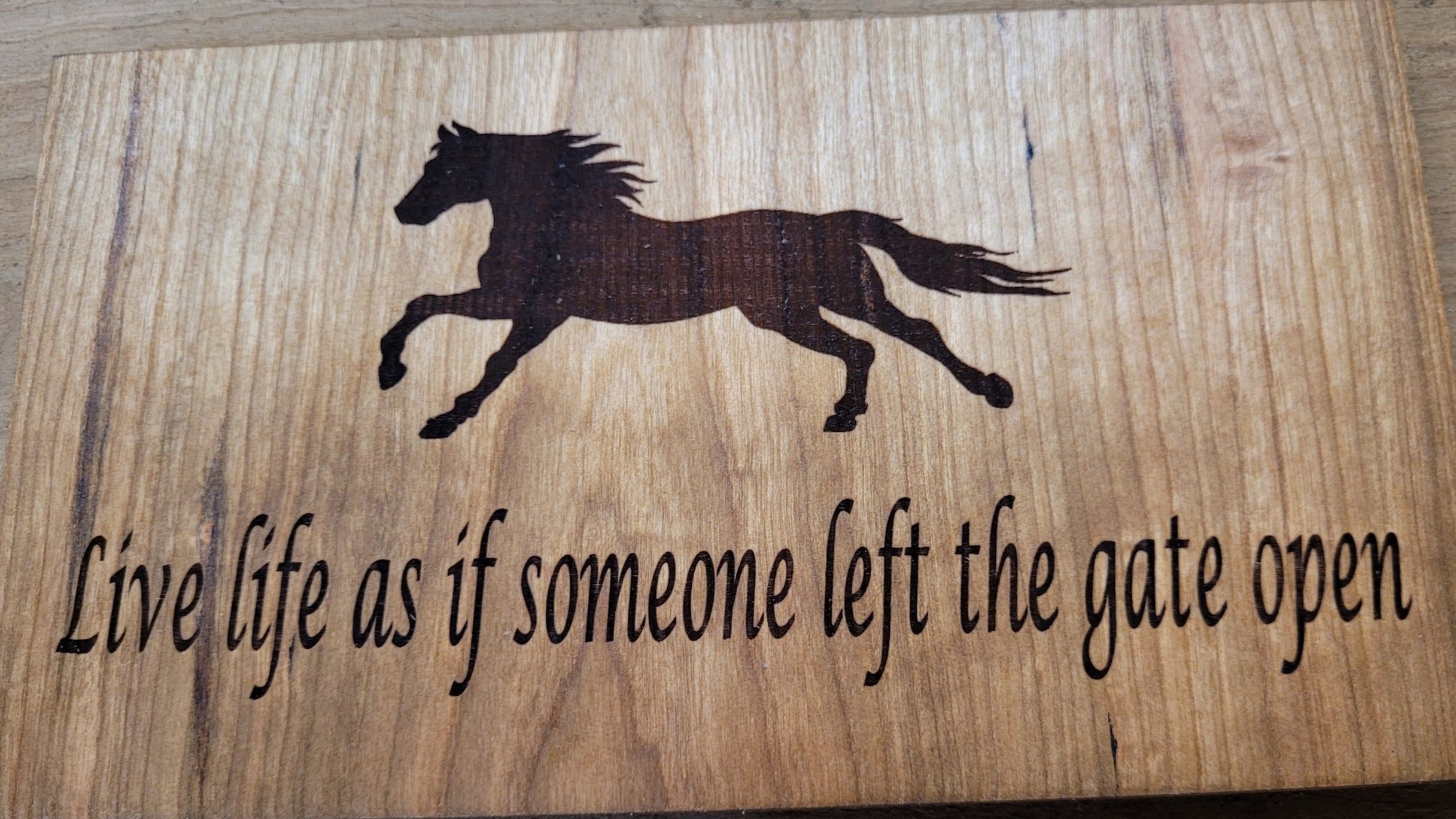 life+like+the+gate+was+left+open+3.jpg