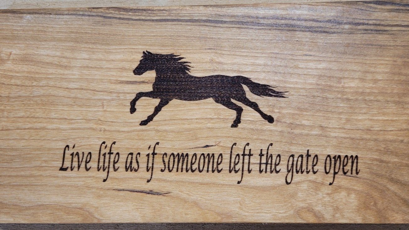 life+like+the+gate+was+open+1.jpg