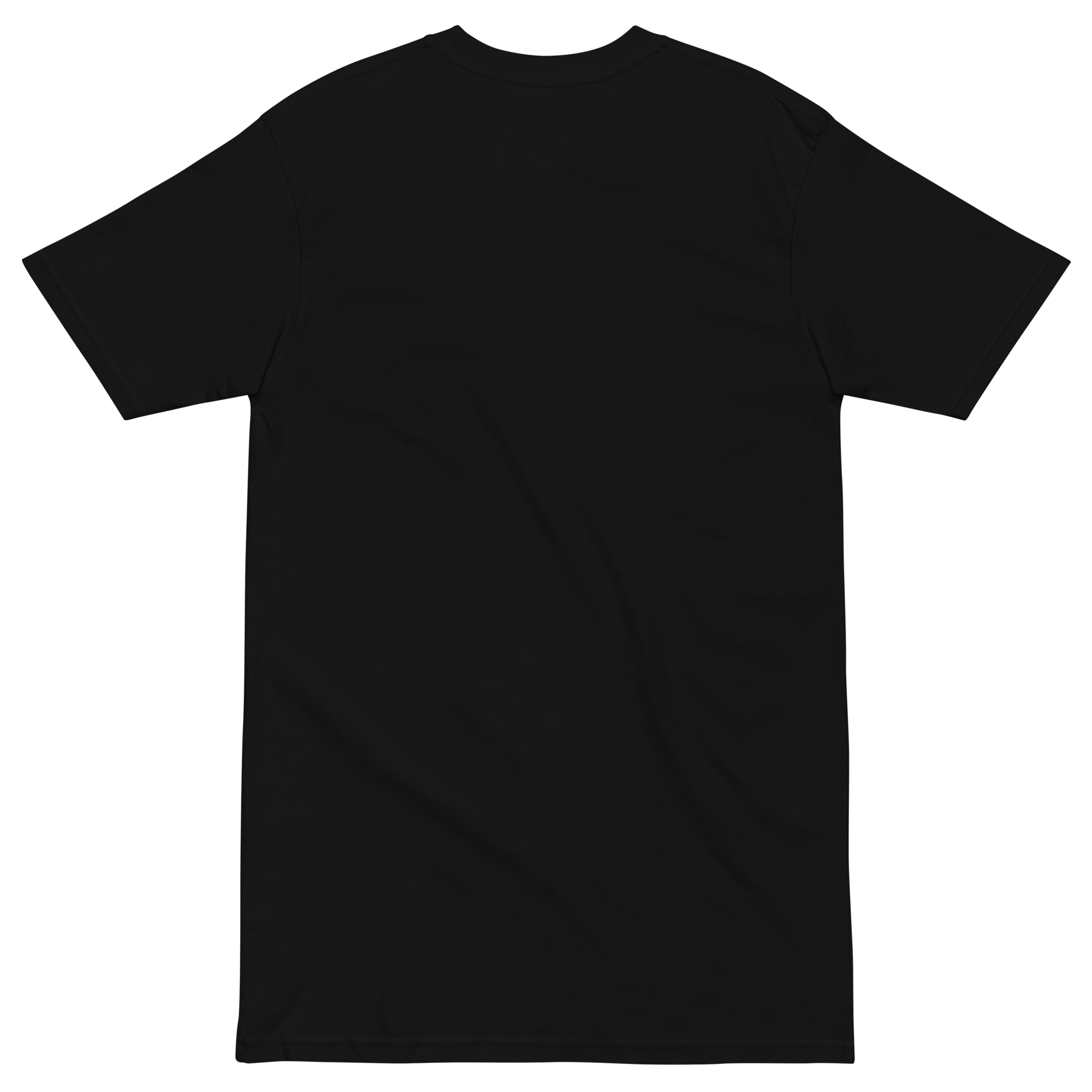 mens-premium-heavyweight-tee-black-back-68a4d8c5e9936.png