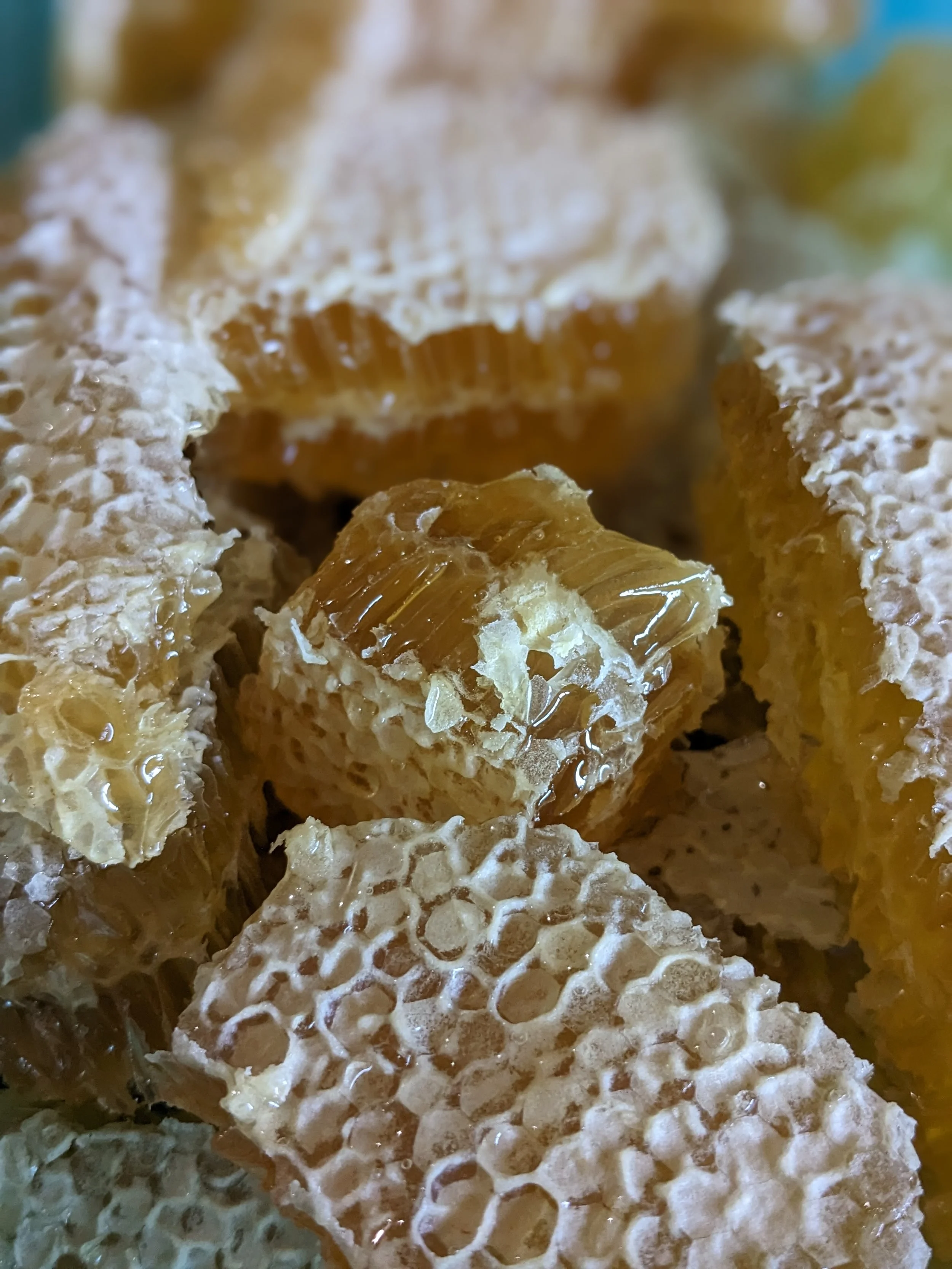 Get to know your HONEY! Where does your honey really coming from?