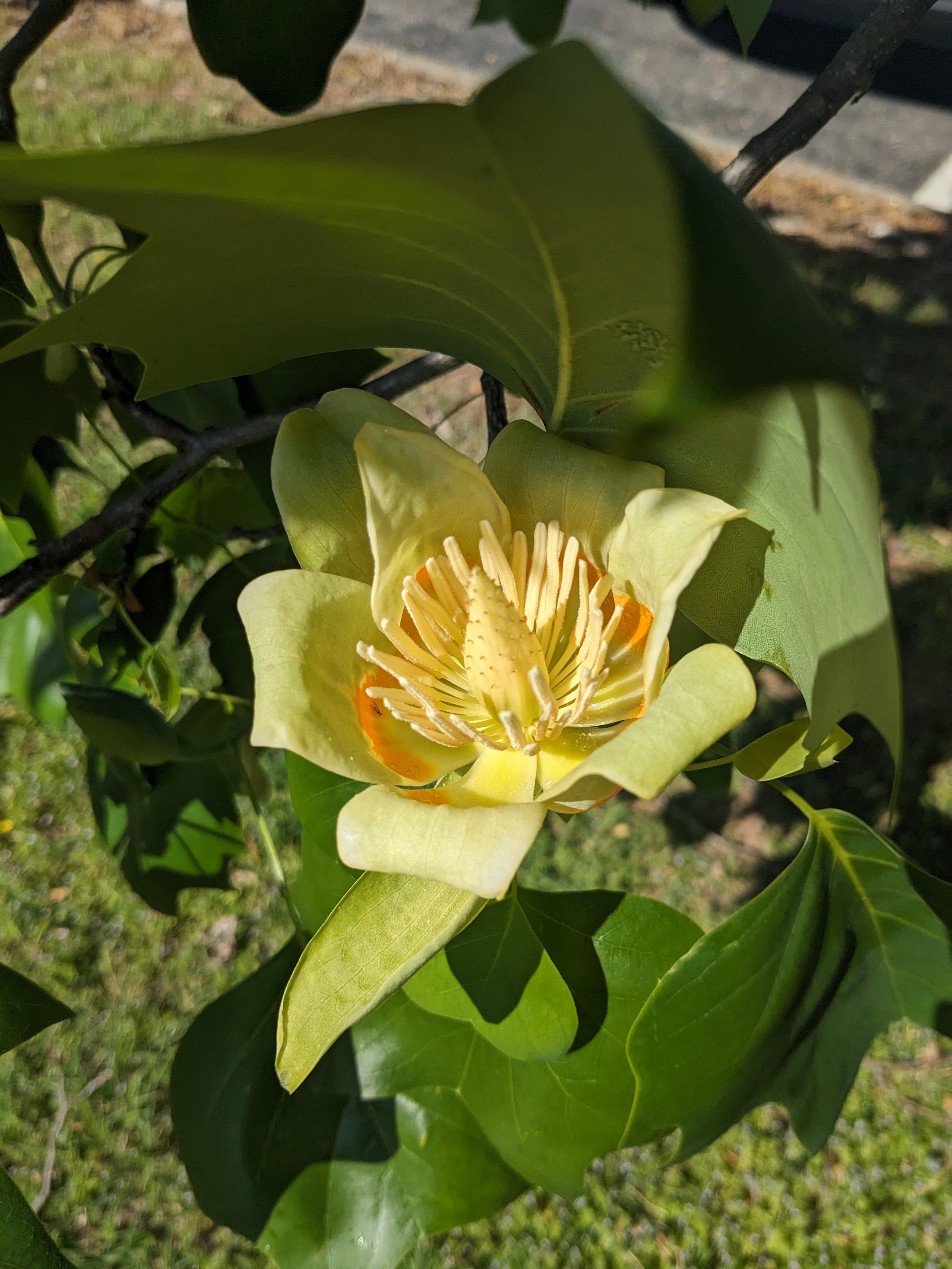 PXL_20240423_144425164.jpg