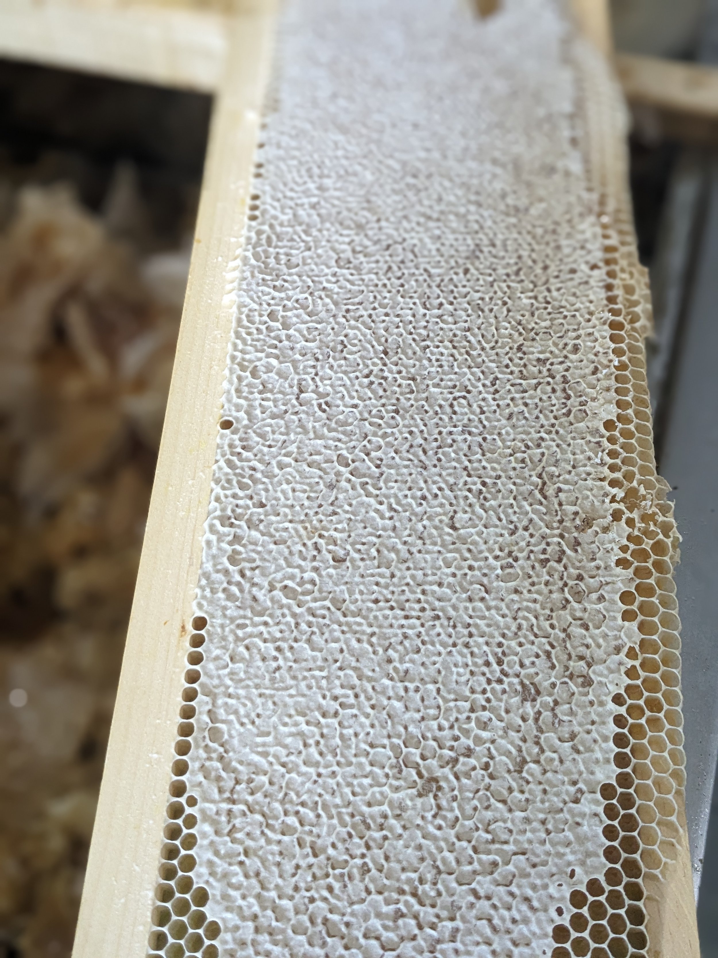 Honey frame (3).jpg