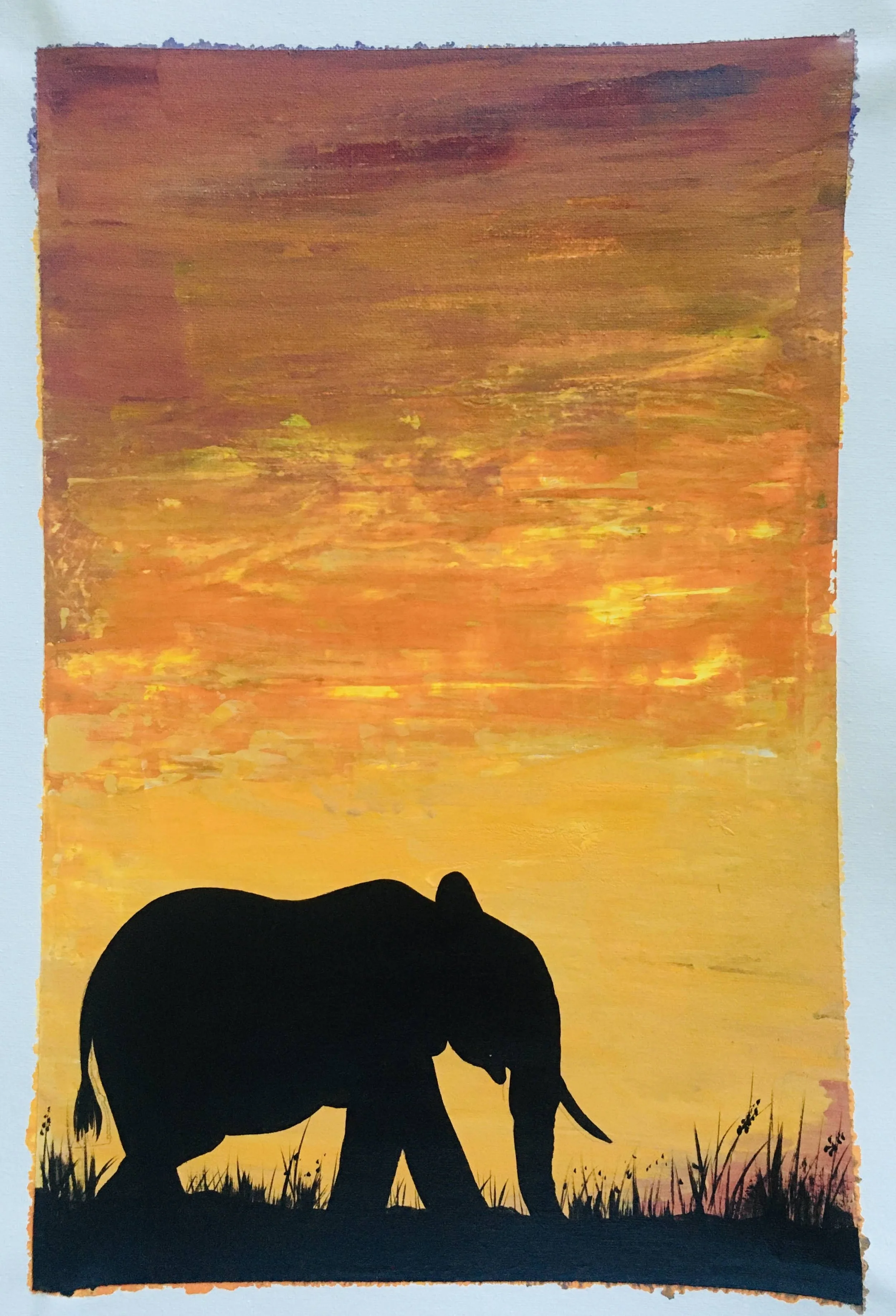 Silhouette of an elephant walking on grass at sunset.