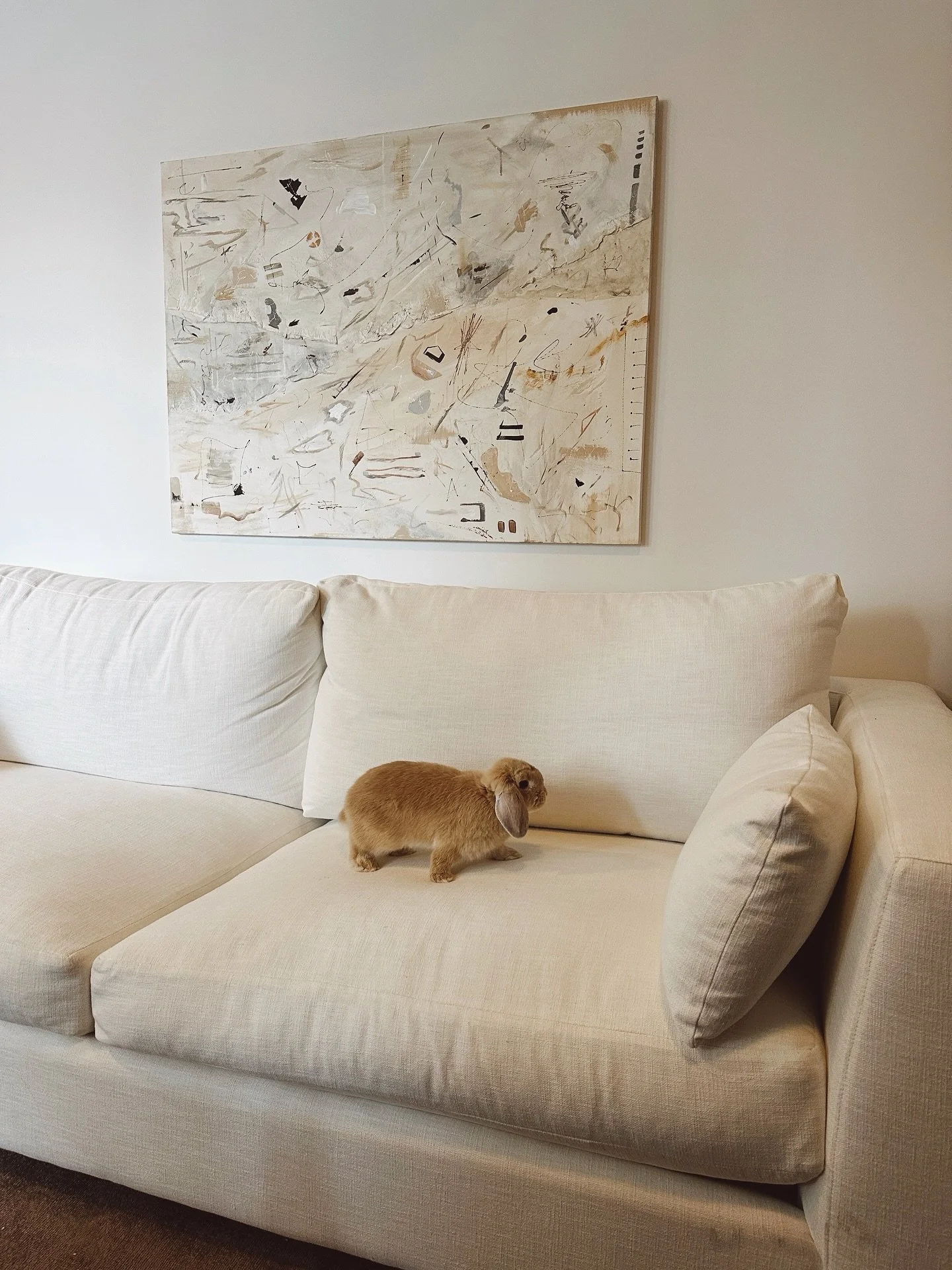 Photographing a piece with your pet bunny is now mandatory going forward