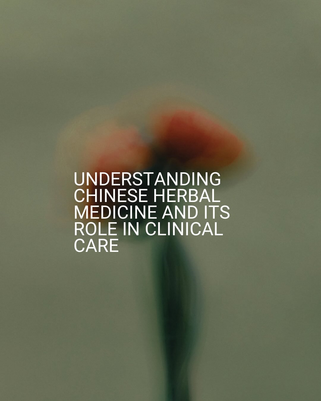 Chinese herbal medicine is a powerful tool we use in clinic&mdash;and one of the most misunderstood.

It&rsquo;s not one-size-fits-all, and it&rsquo;s not about treating a diagnosis alone. It&rsquo;s about understanding how symptoms present in your b