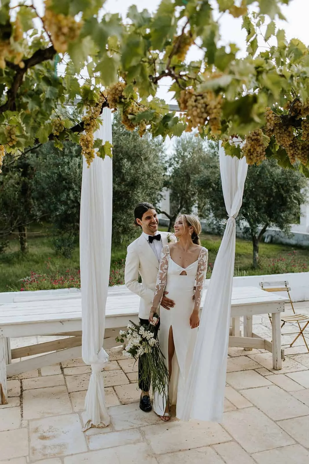 The vineyard at Masseria Potenti