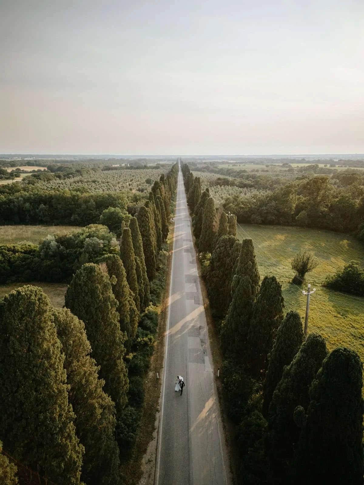 Bride and groom walking hand-in-hand down the iconic cypress-lined road at Bolgheri, Tuscany — Italy wedding.