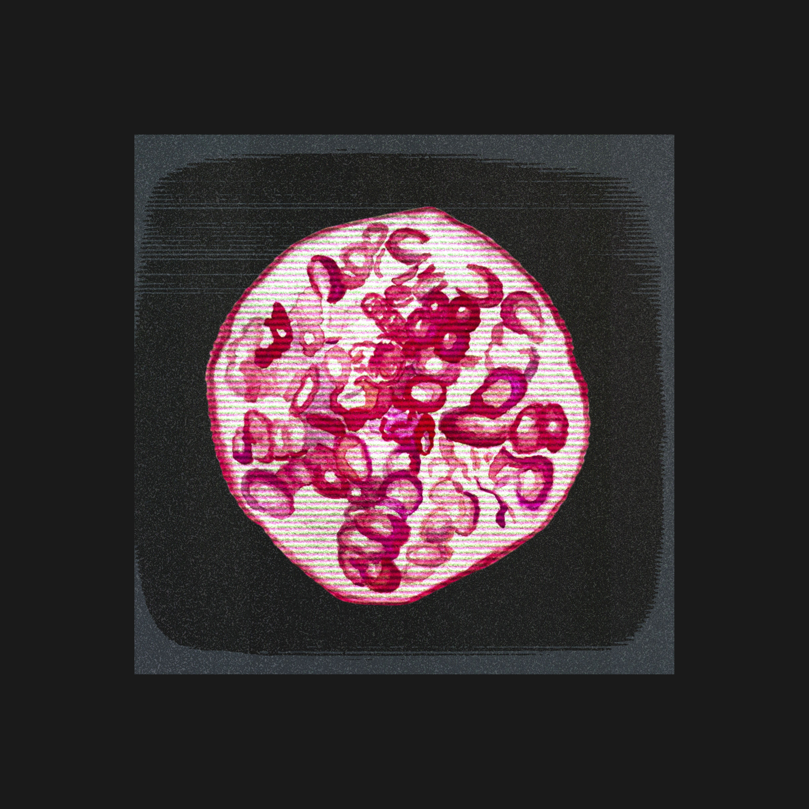 Untitled design-7.png