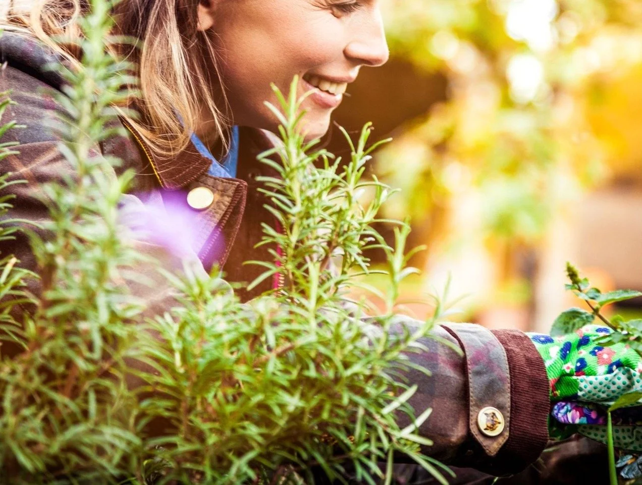 Regeneration over sustainability