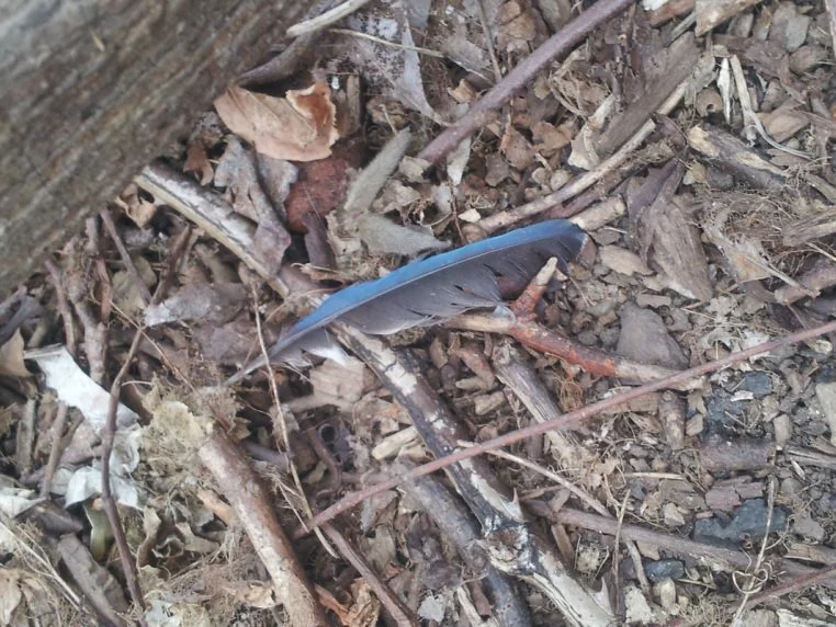 When strength stops feeling strong