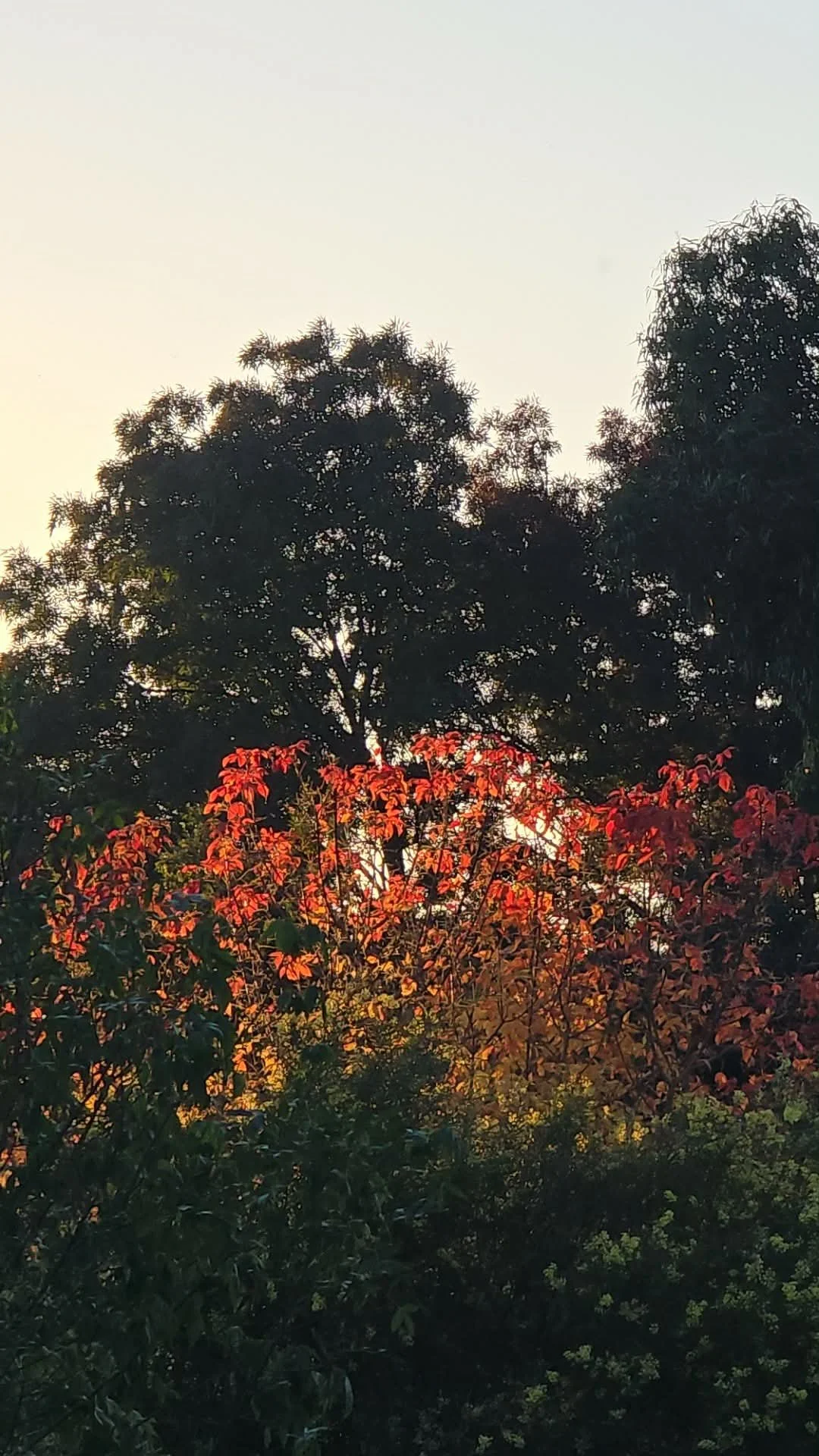 What autumn asks of us