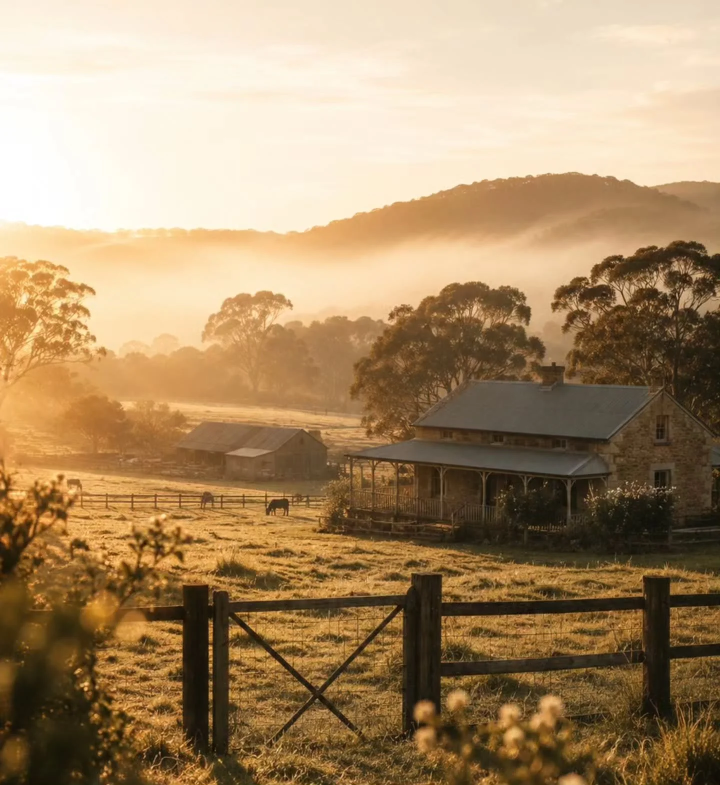 84% of international travellers say they want an agritourism experience on their next trip to Australia.

Are you positioned to be part of that?

Don't rule yourself out because you think you don't have something to offer. In my experience, everyone 