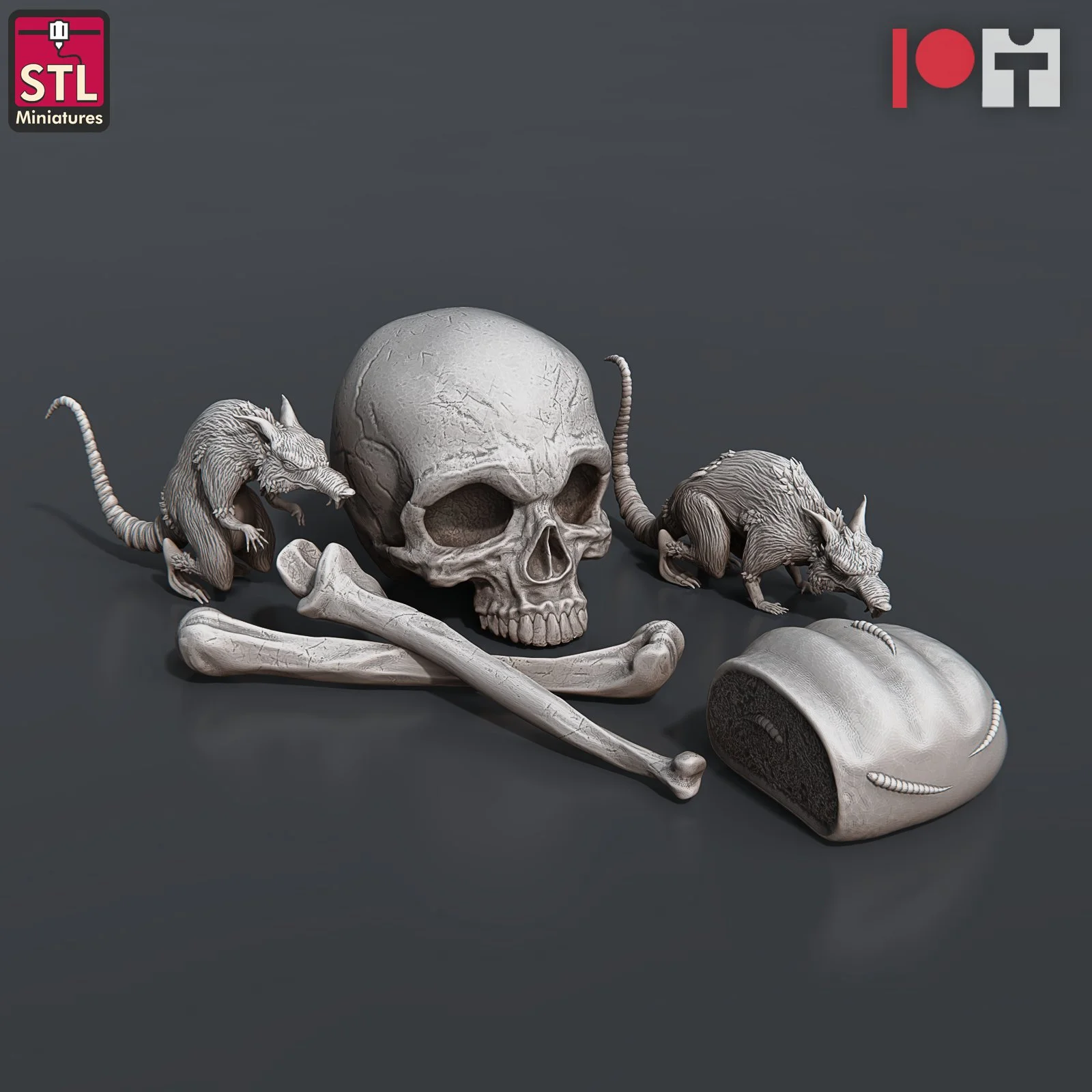 Bones, Moldy Bread, Rats