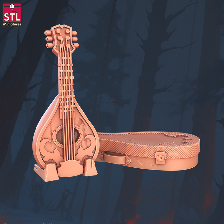 Lute and Its Suitcase