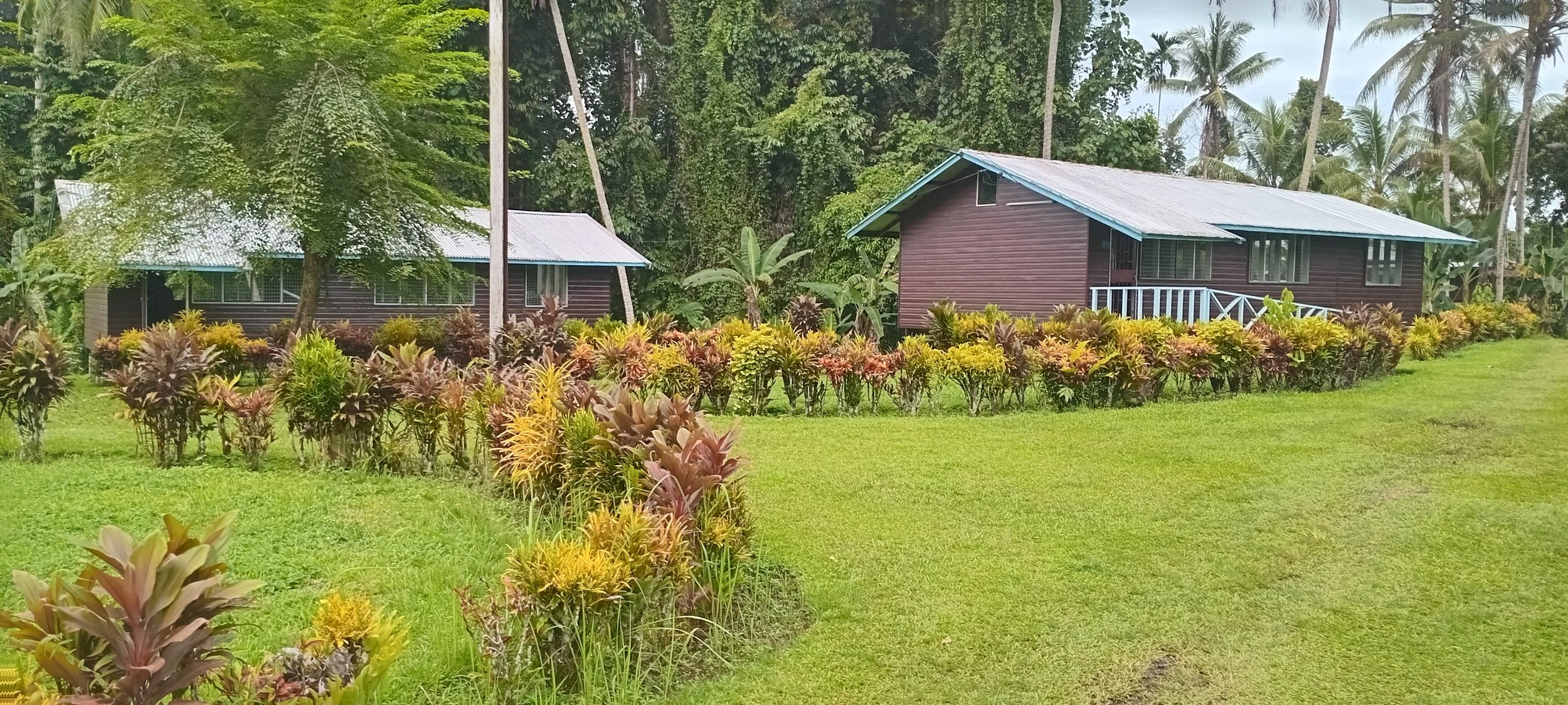 Two wooden houses with blue roofs surrounded by lush green lawn and tropical plants in a tropical setting.