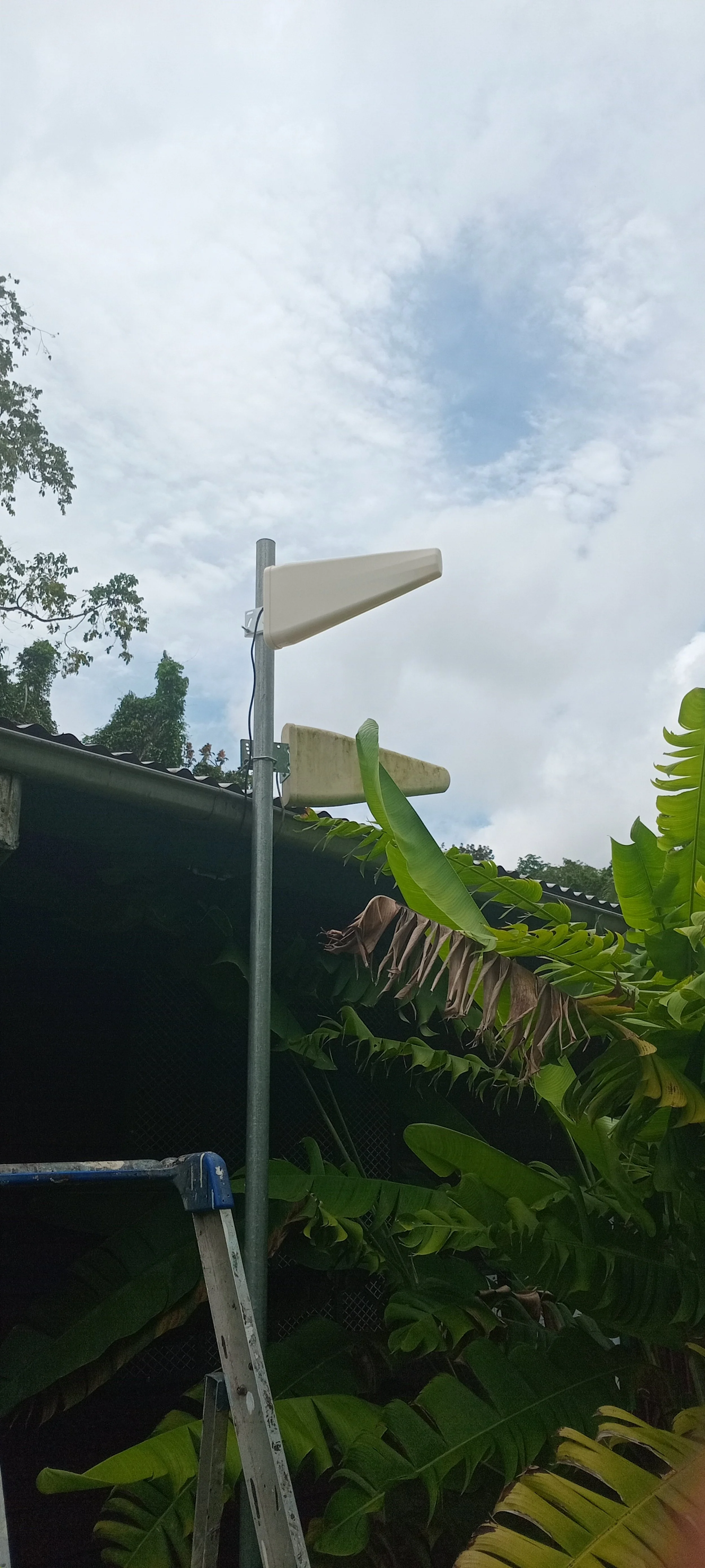 Two large white panel antennas mounted on a pole outdoors above green foliage with a partly cloudy sky in the background.