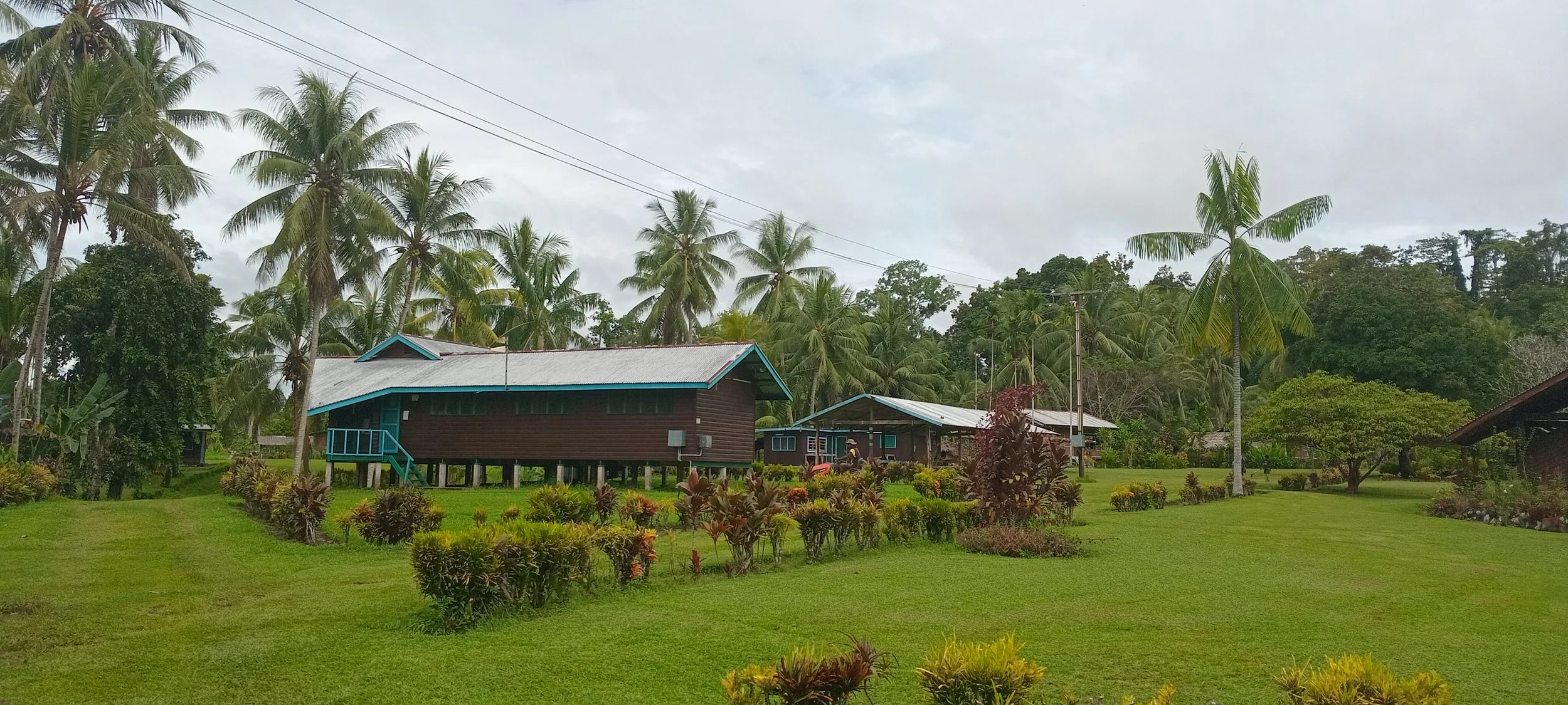 A lush, green landscape with tall palm trees, manicured grass, and traditional elevated houses with metal roofs, surrounded by flowering bushes and tropical vegetation under a cloudy sky.