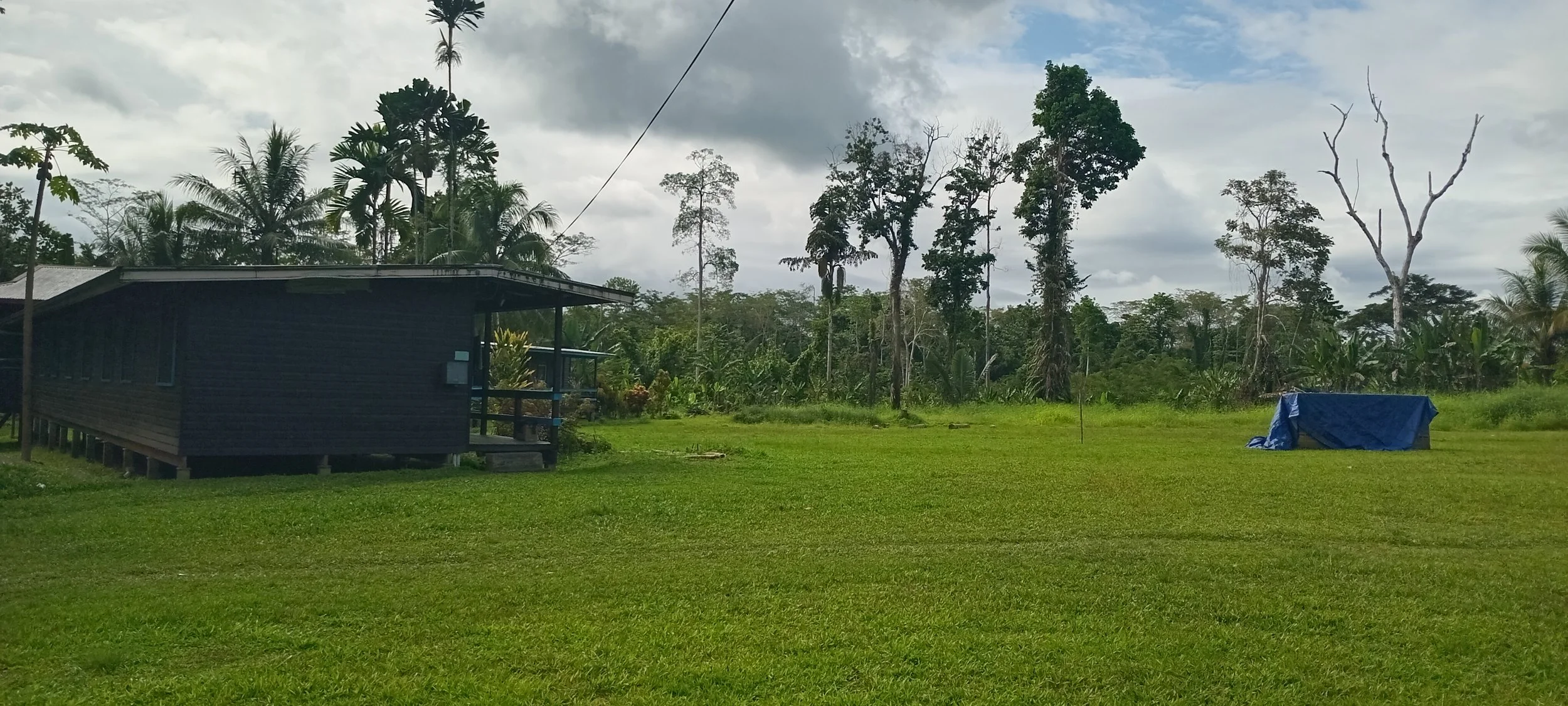 A small black wooden house on stilts in a green field, with tall trees and cloudy sky in the background, and a blue tarp covering an object on the grass.