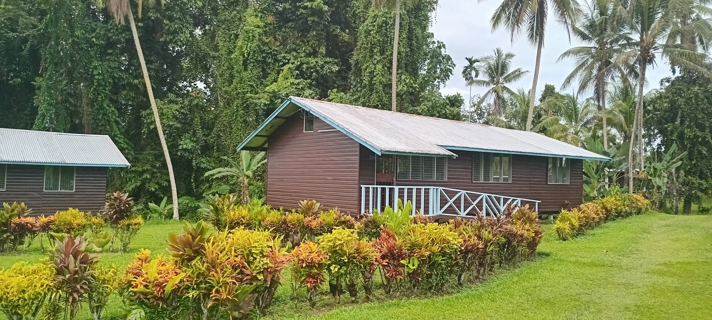 A wooden house with a metal roof surrounded by tropical plants and trees, including palm trees, in a lush green landscape.