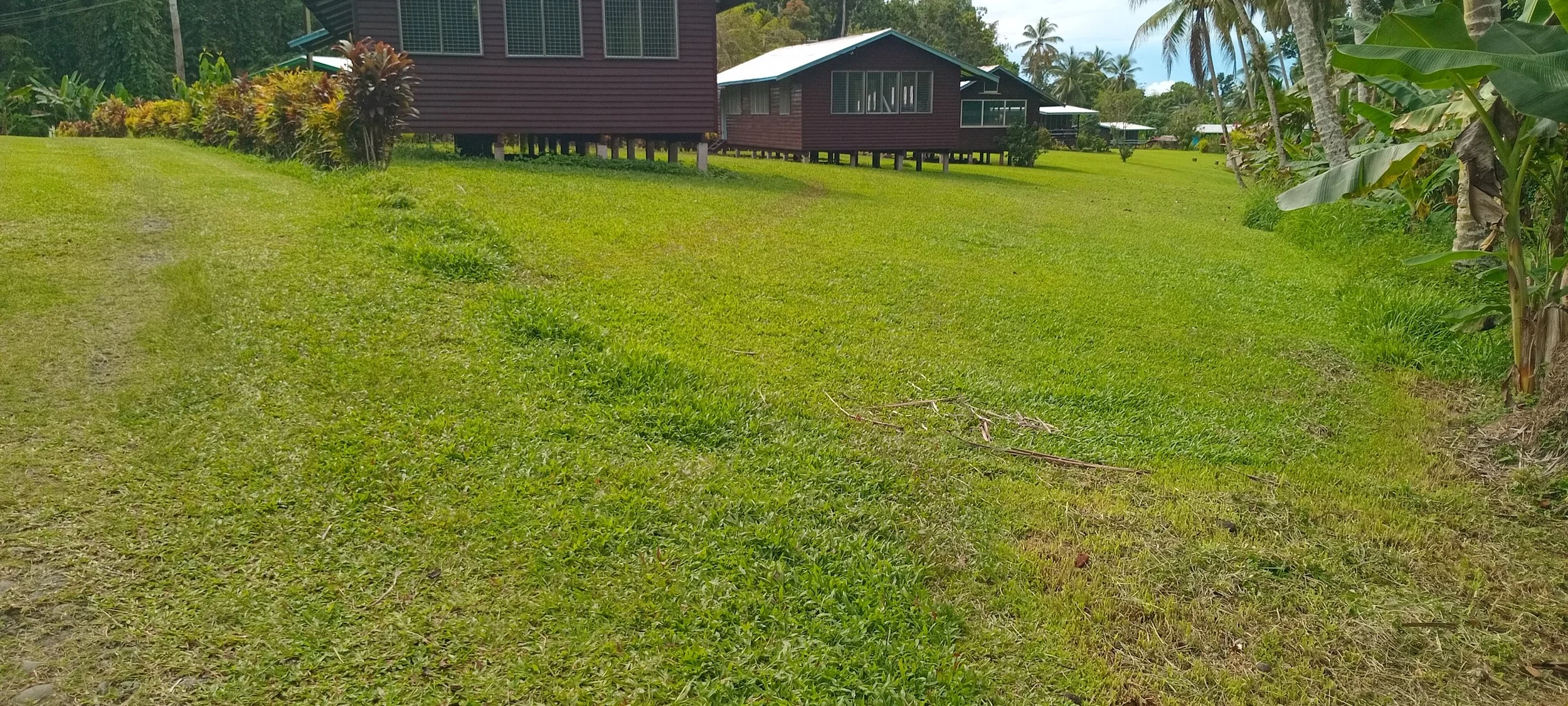 Lush green grassy yard with brown elevated houses and tropical trees in the background.