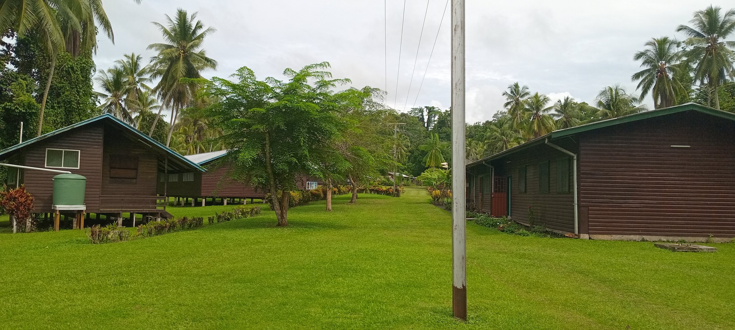 Green grassy yard with two brown wooden buildings, surrounded by palm trees, a tree with green leaves, and a cloudy sky.