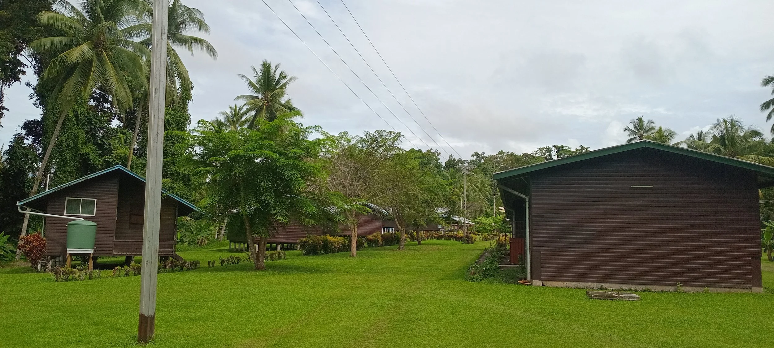 Green grassy yard with two brown wooden houses, several trees, including palm trees, and power lines in the background under a cloudy sky.