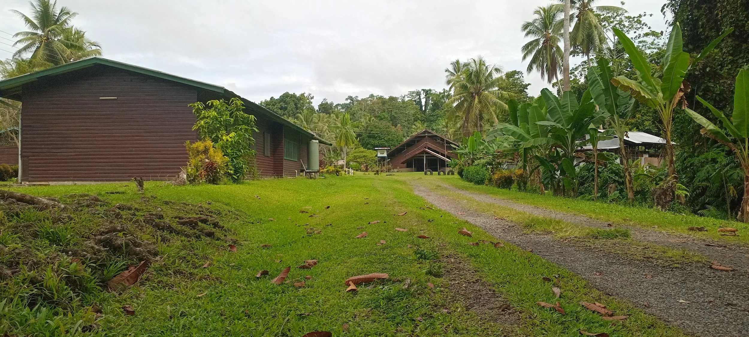 A rural scene with green grassy area, trees, palm trees, and two brown houses with metal roofs. There is a dirt driveway, some fallen leaves and a lush tropical landscape in the background.