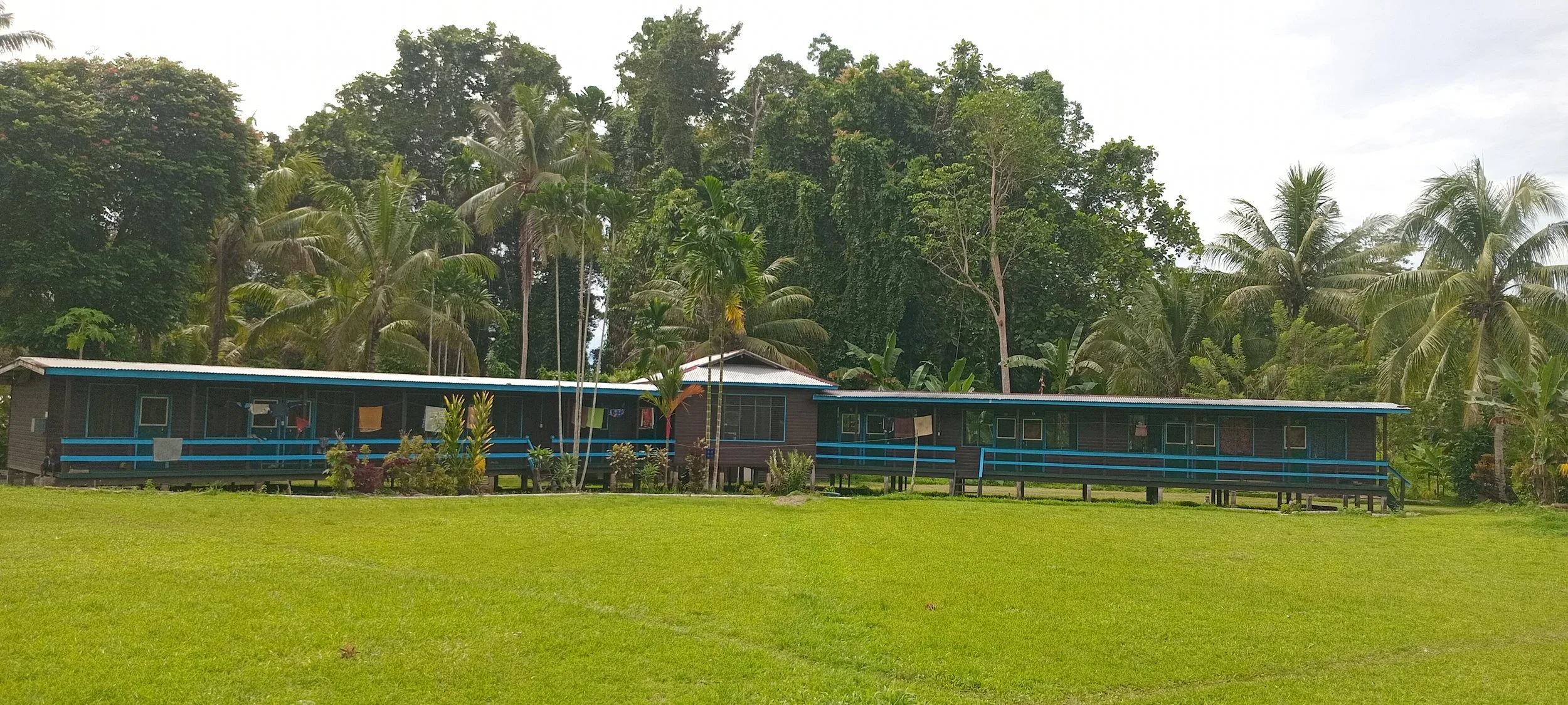 Single-story wooden house with blue trim and a raised deck, surrounded by lush green grass and tropical palm trees.