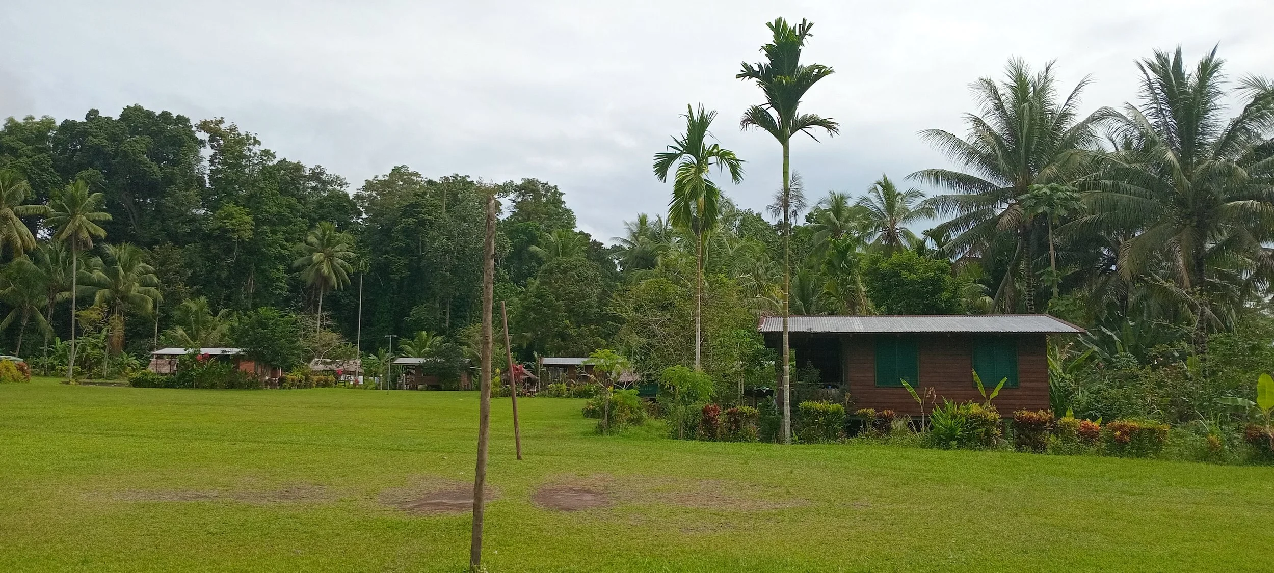 A lush green field with a small wooden house surrounded by tropical trees and plants, under an overcast sky.