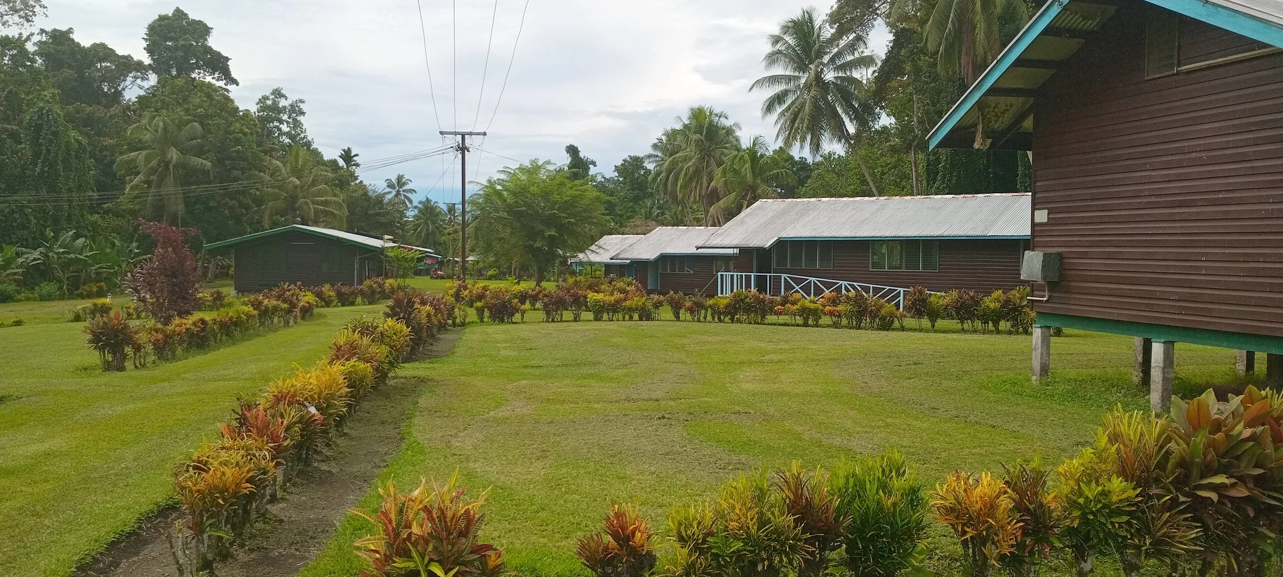 Lush green lawn with colorful plants and trees in a tropical area, with traditional wooden houses on stilts and power lines overhead.