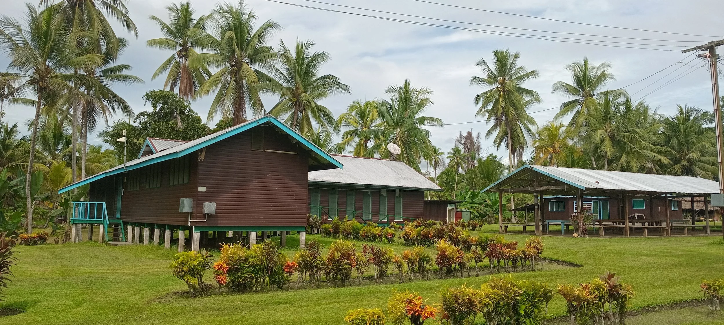 Rural area with two wooden houses, surrounded by palm trees, green grass, and colorful shrubbery.