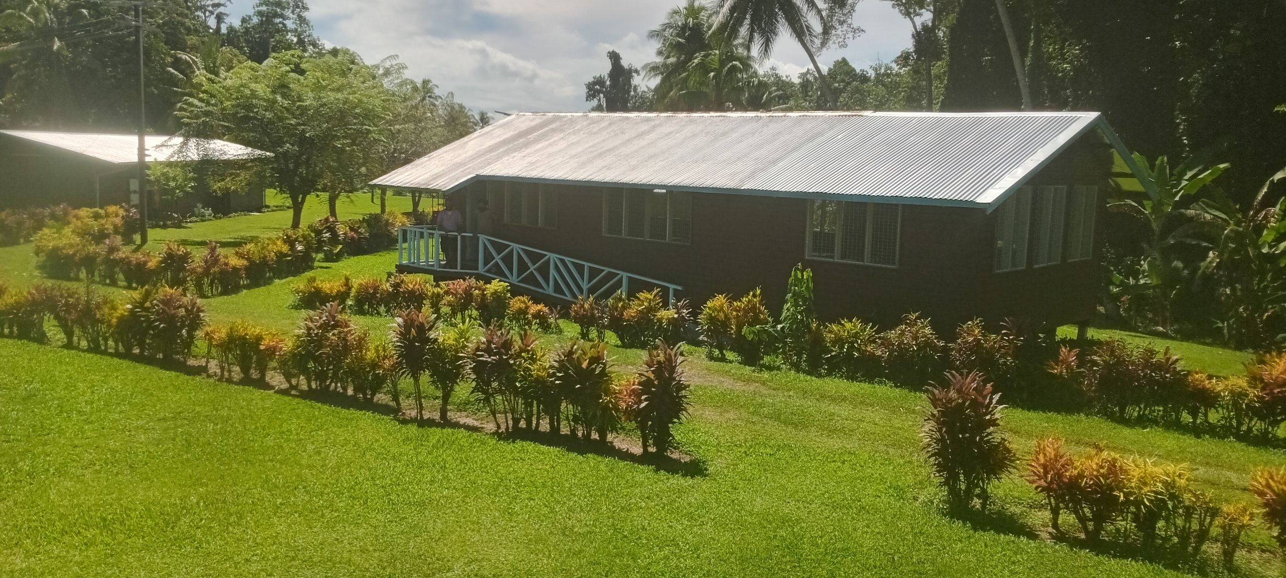 A house with a metal roof on a grassy hillside, surrounded by bushes, trees, and shrubs, with a person standing on the balcony.