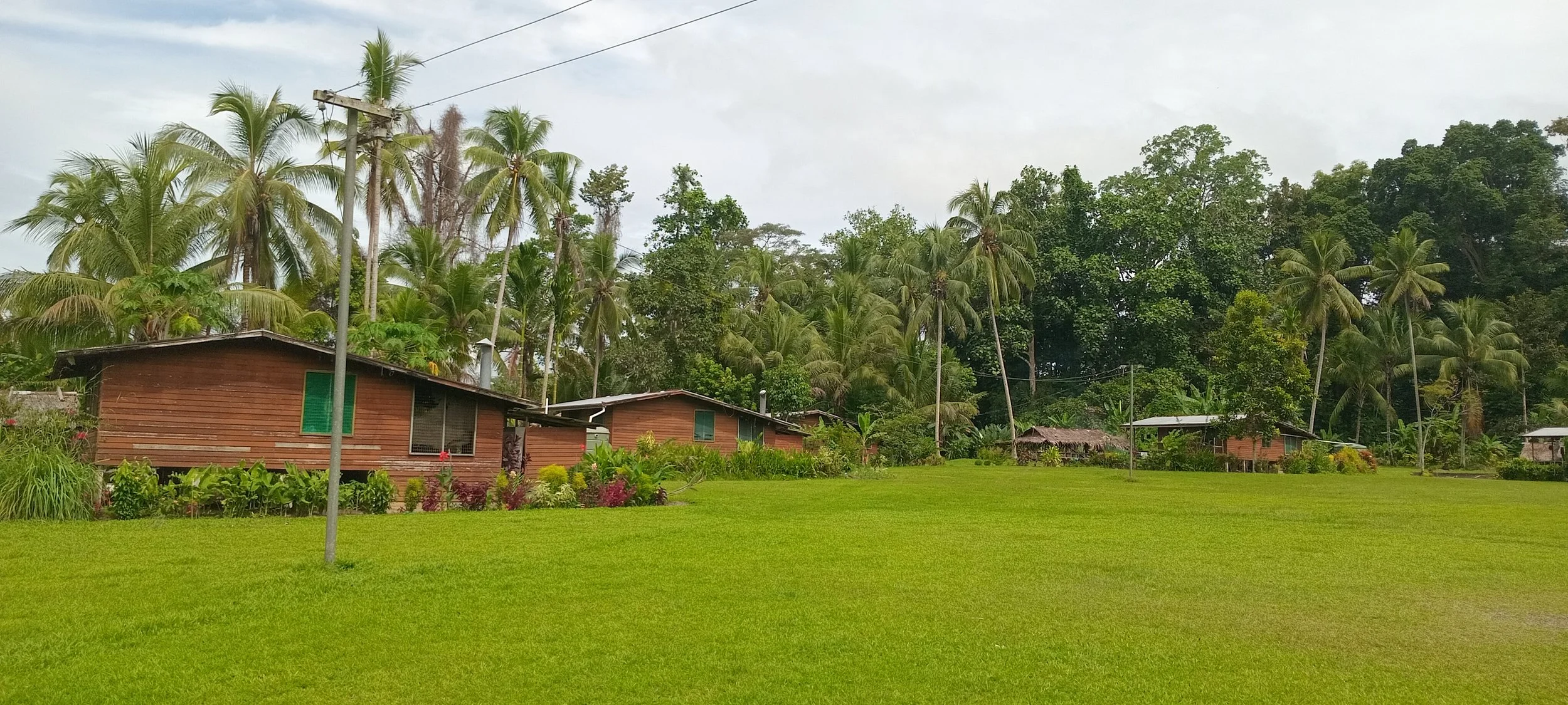 A lush green lawn with several small wooden houses in the background, surrounded by numerous palm trees and dense tropical foliage.