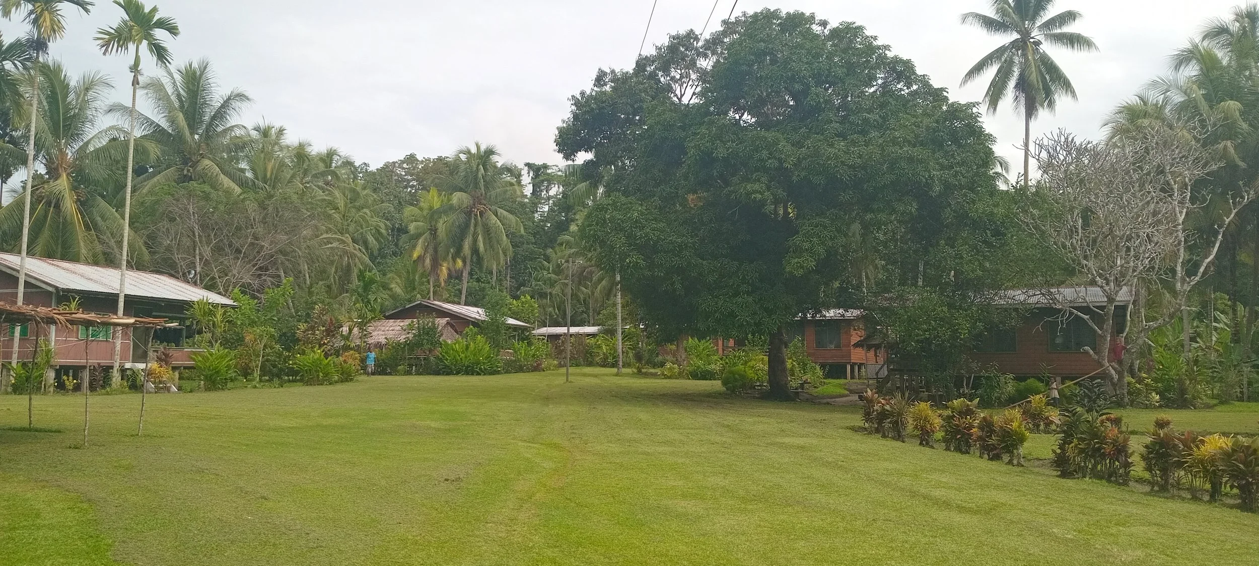 Lush green yard with trimmed grass, surrounded by tropical trees and plants, including palm trees, with colorful houses in the background and cloudy sky overhead.