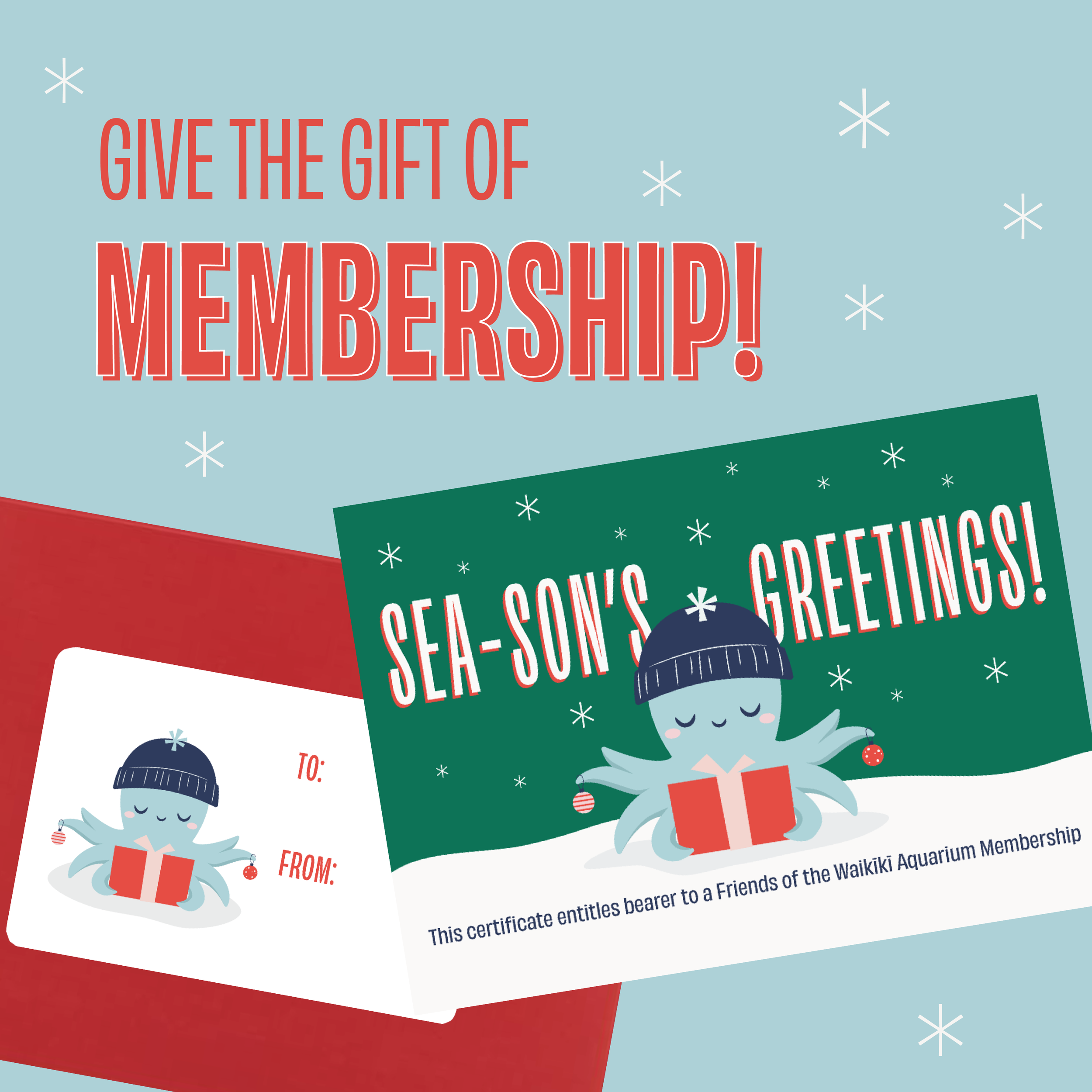 website squares-05.png