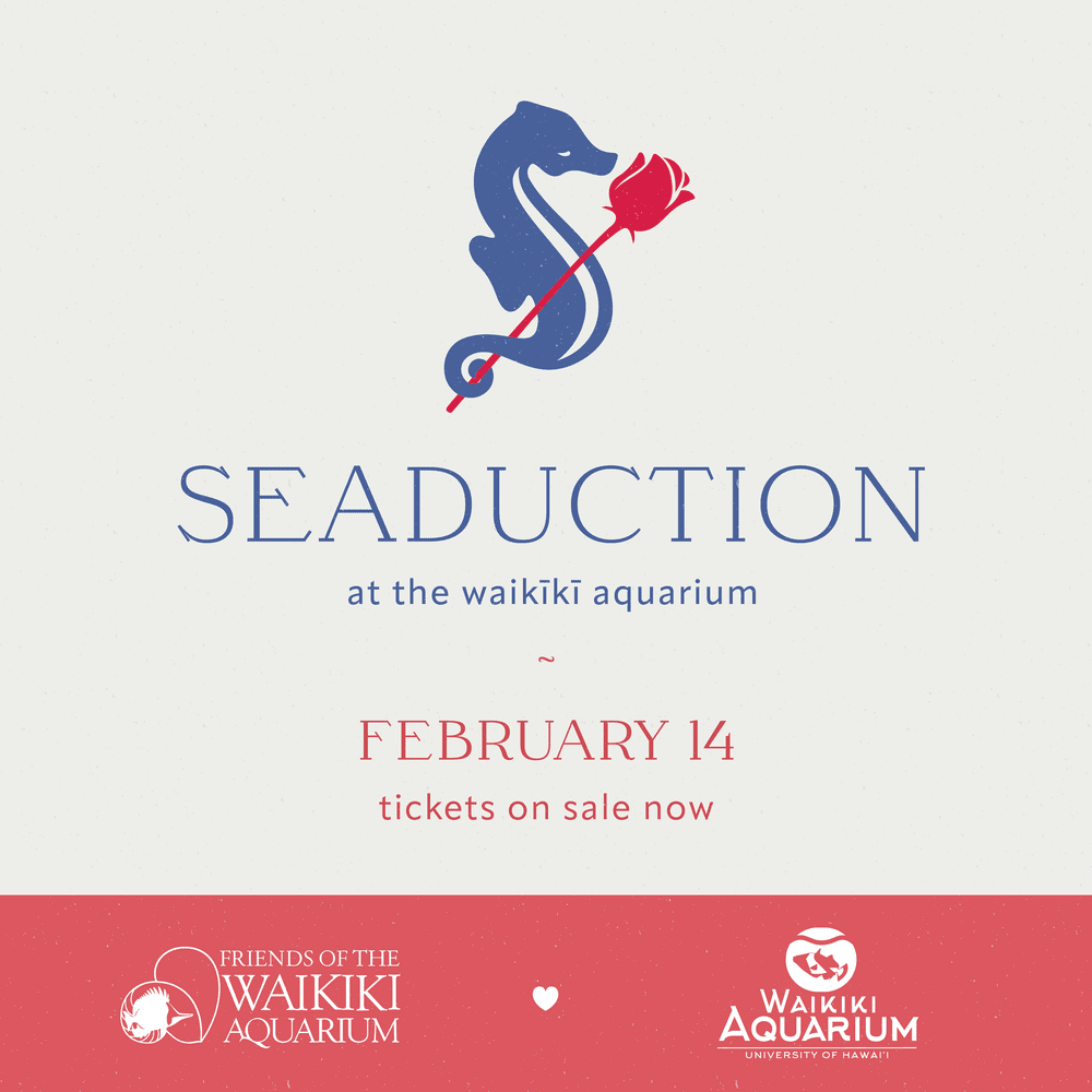 Seaduction Event Branding for Waikiki Aquarium
