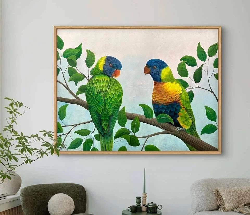 These big beautiful lorikeets have finally found a home! 🤍