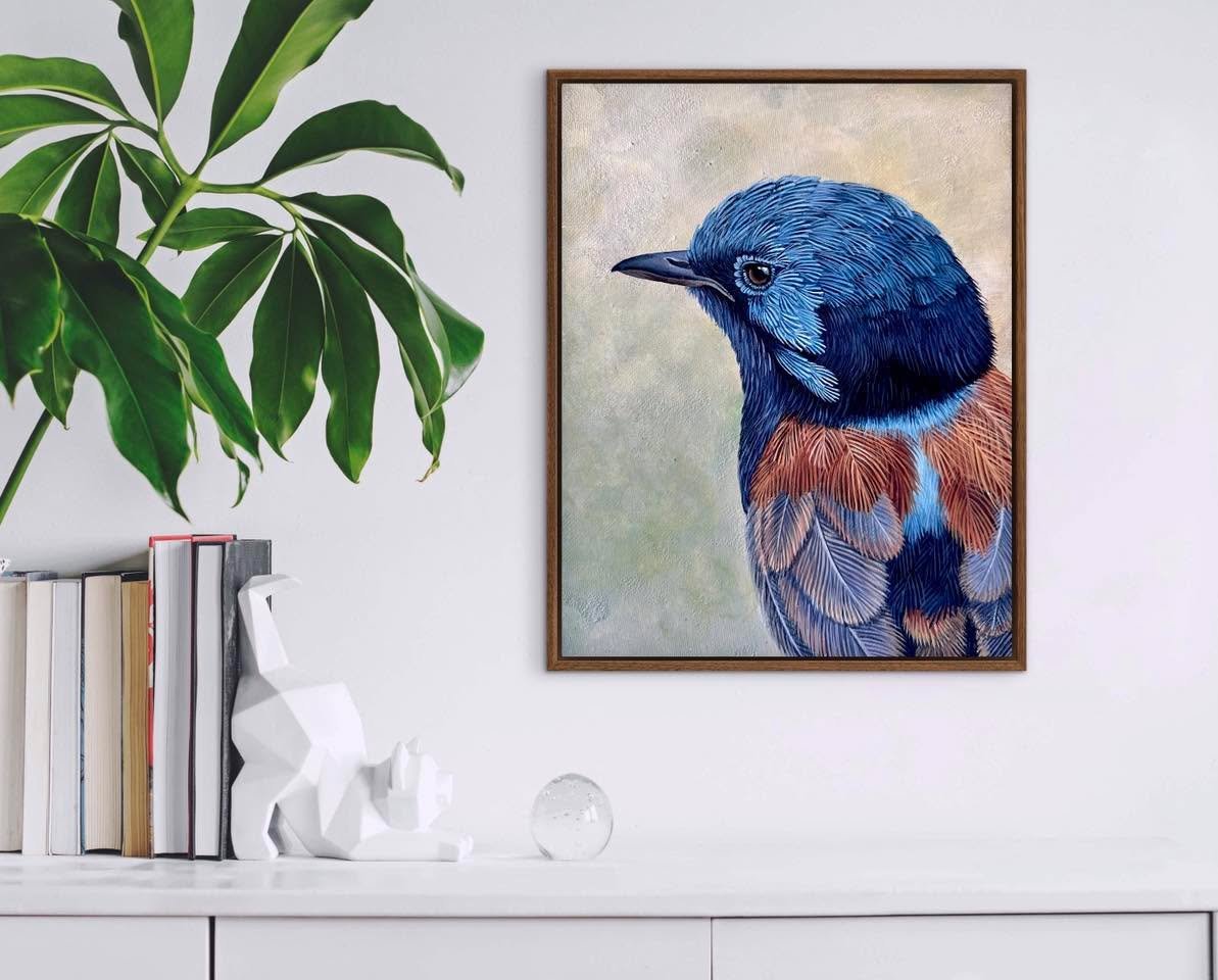 red winged fairywren 💙