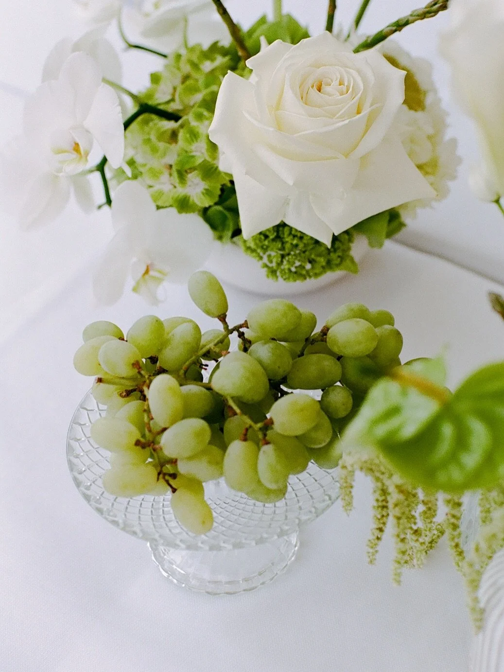 Film has a way slowing everything down - of noticing the in-between moments that otherwise might pass quietly. 

The Goodman&rsquo;s wedding was full of those moments. Soft greens layered with crisp whites. Linen suits and black tie in equal measure.