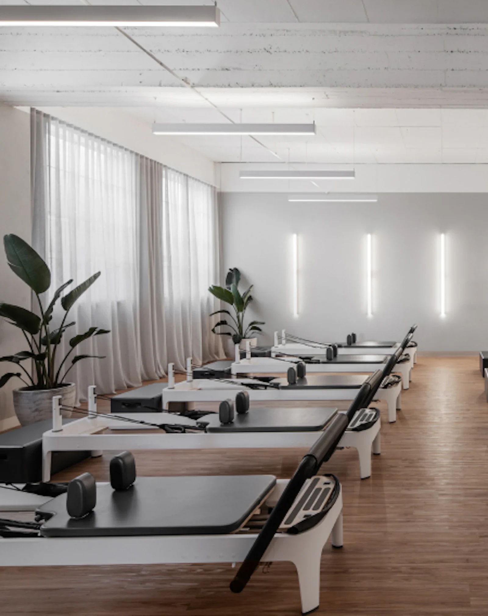 A modern Pilates studio with reformer machines arranged in a row, large windows with curtains, and potted plants, illuminated by natural and wall lighting.