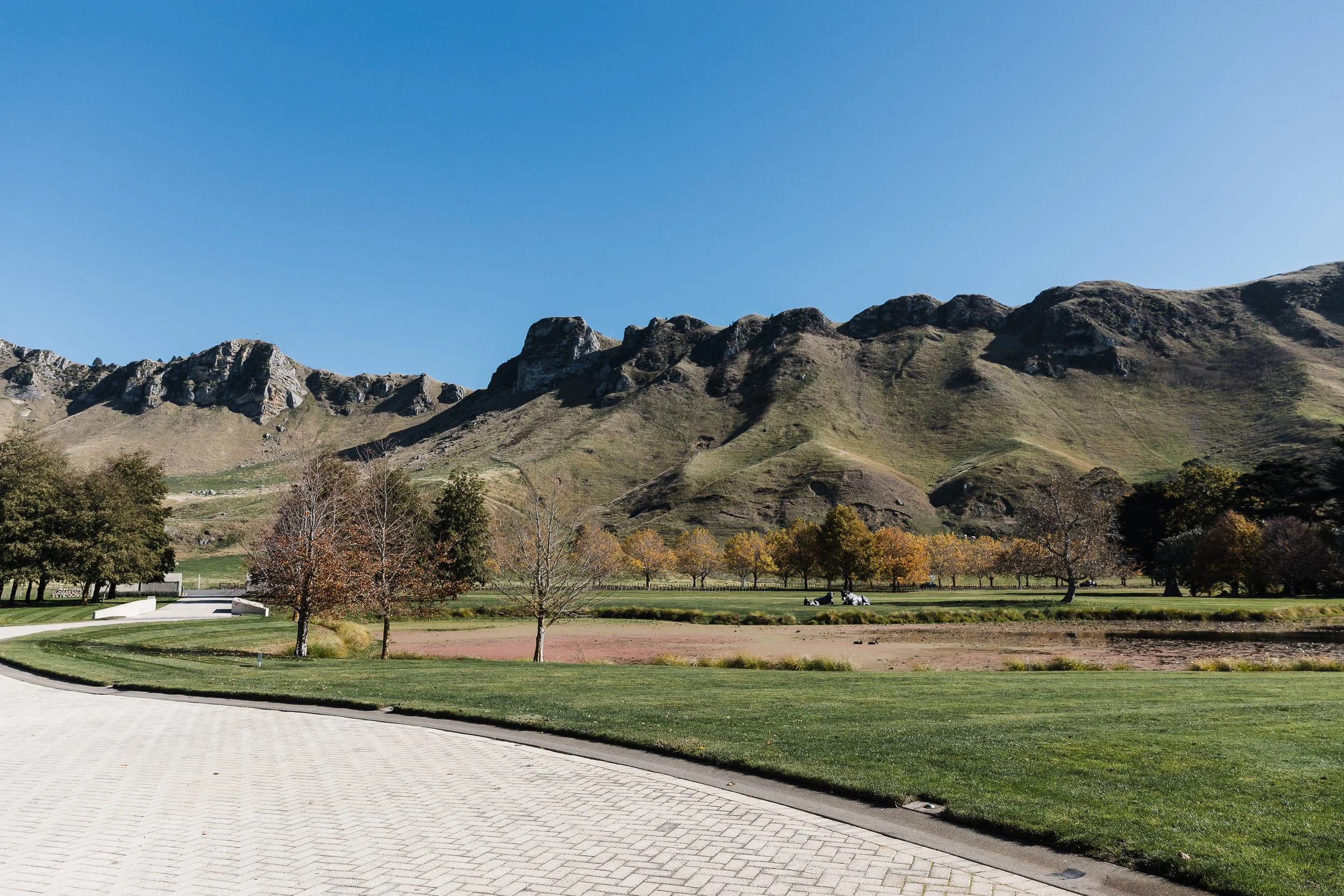 Vesta Events - Craggy Range-23.jpg